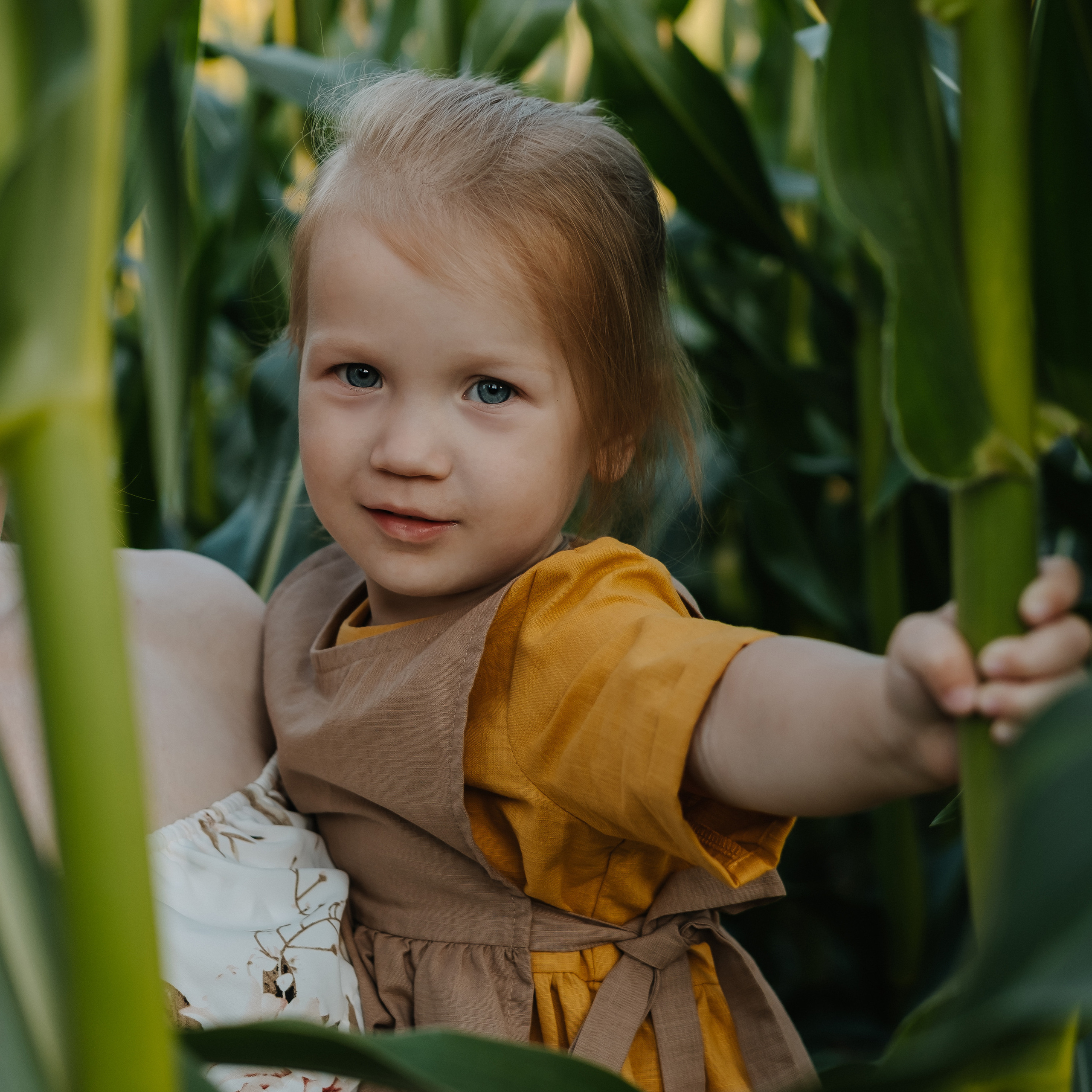 Прогулка в кукурузе