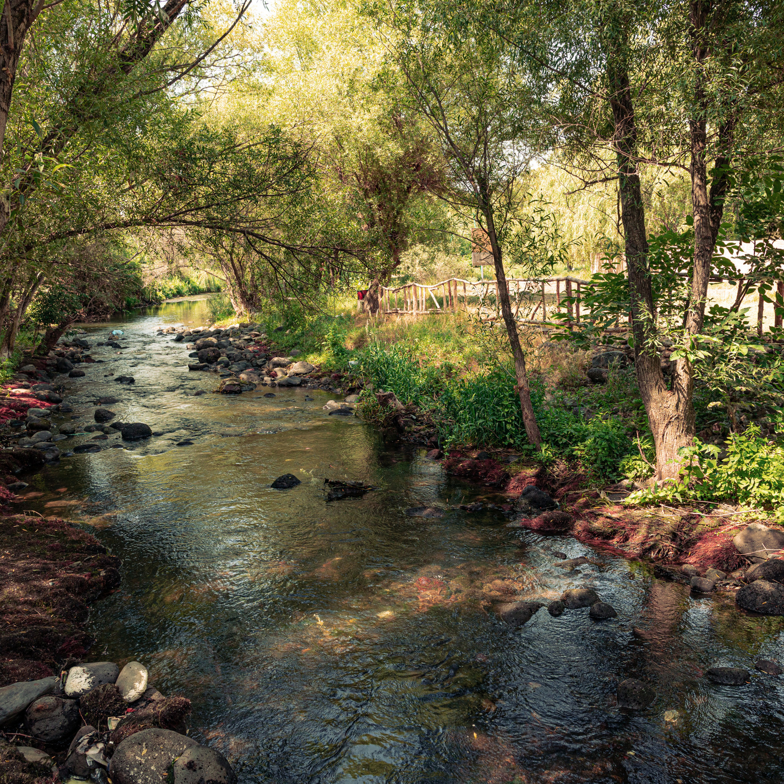 Отзывы. Фотограф Москва