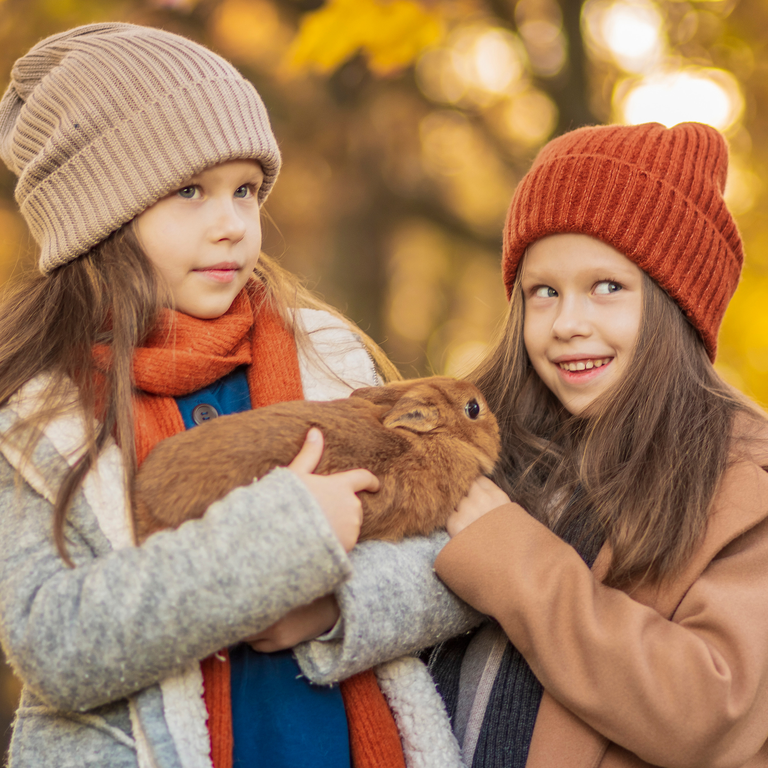 фото прогулка золотая осень