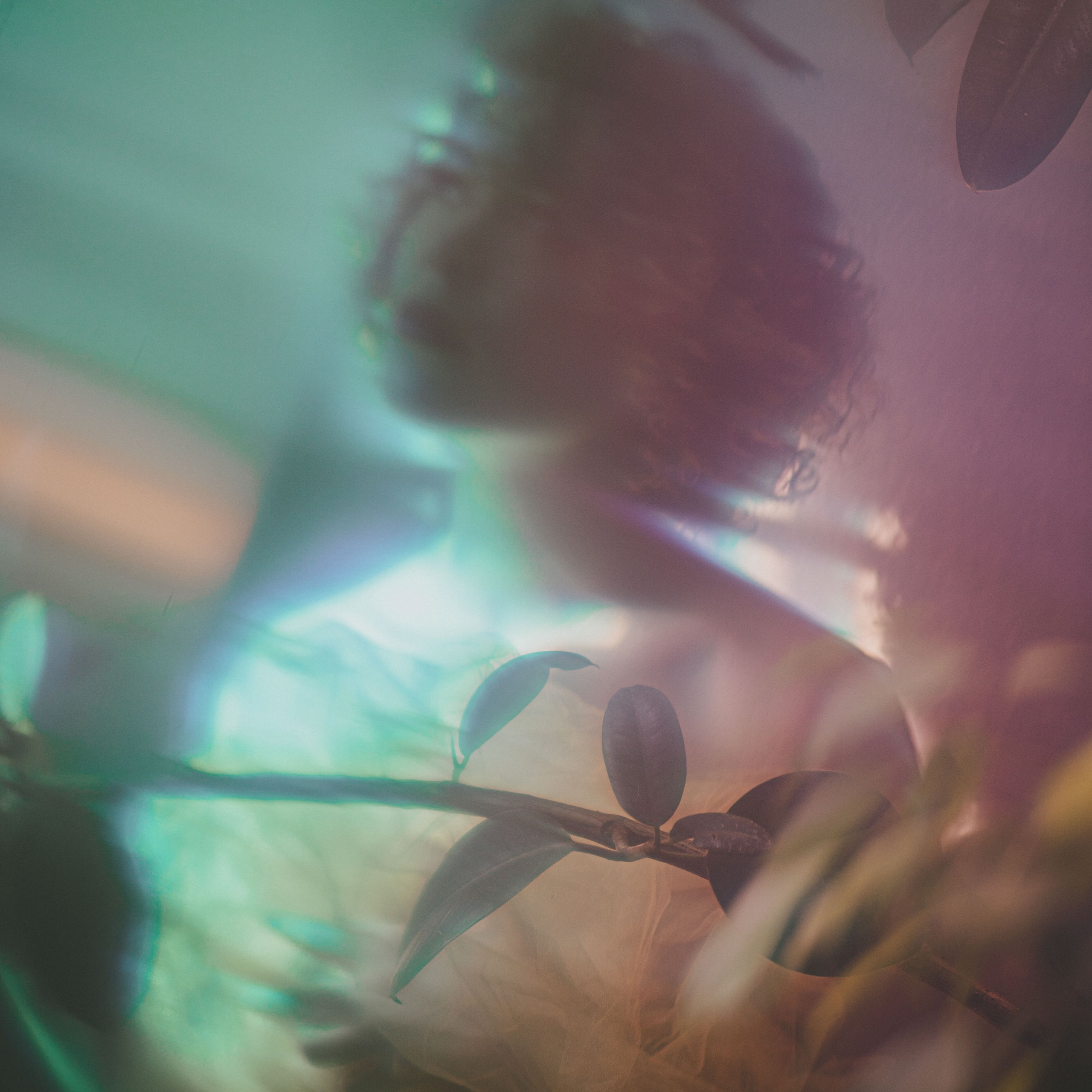 Анастасия Романова