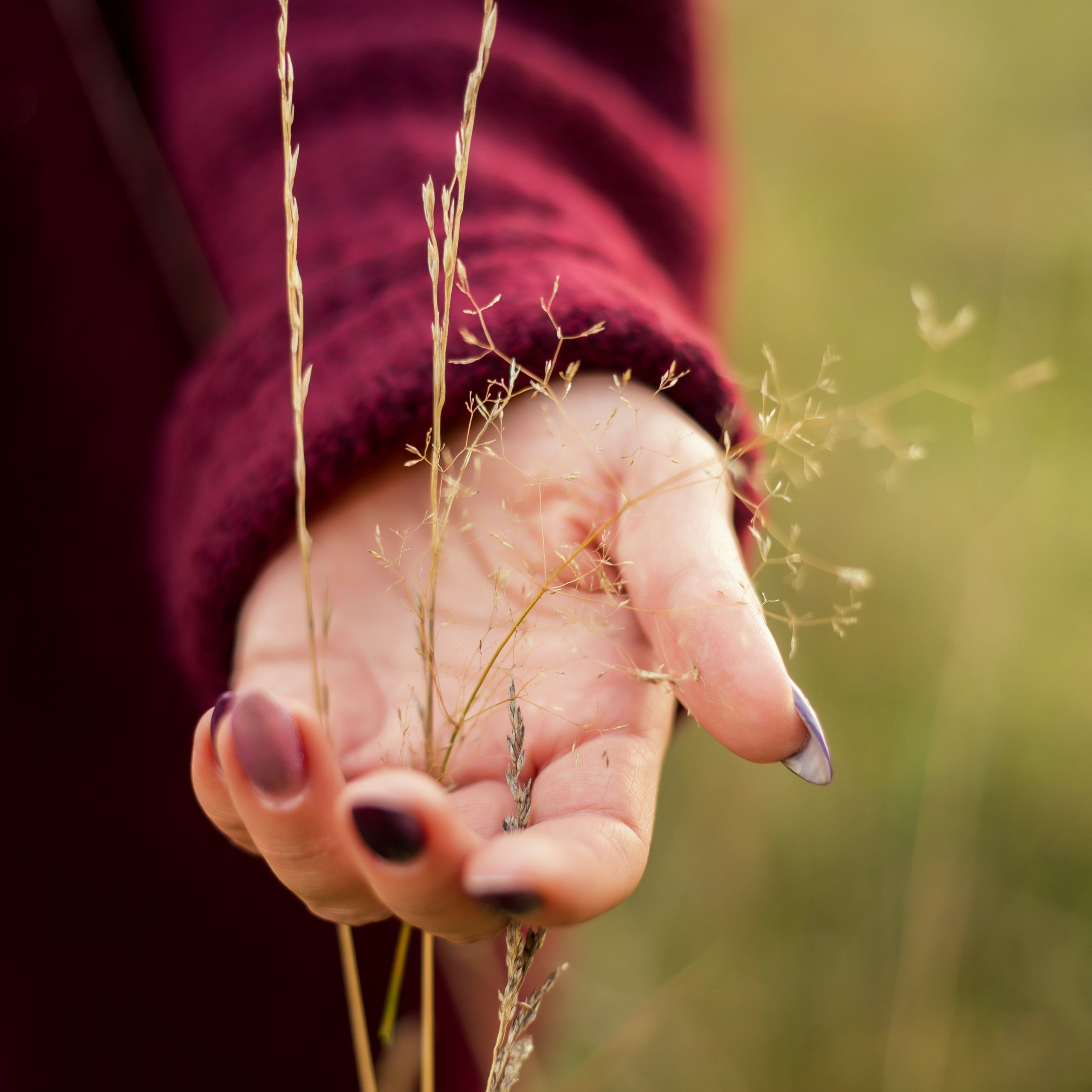 Осенние фотосессии. Творческая студия АЛНИфото