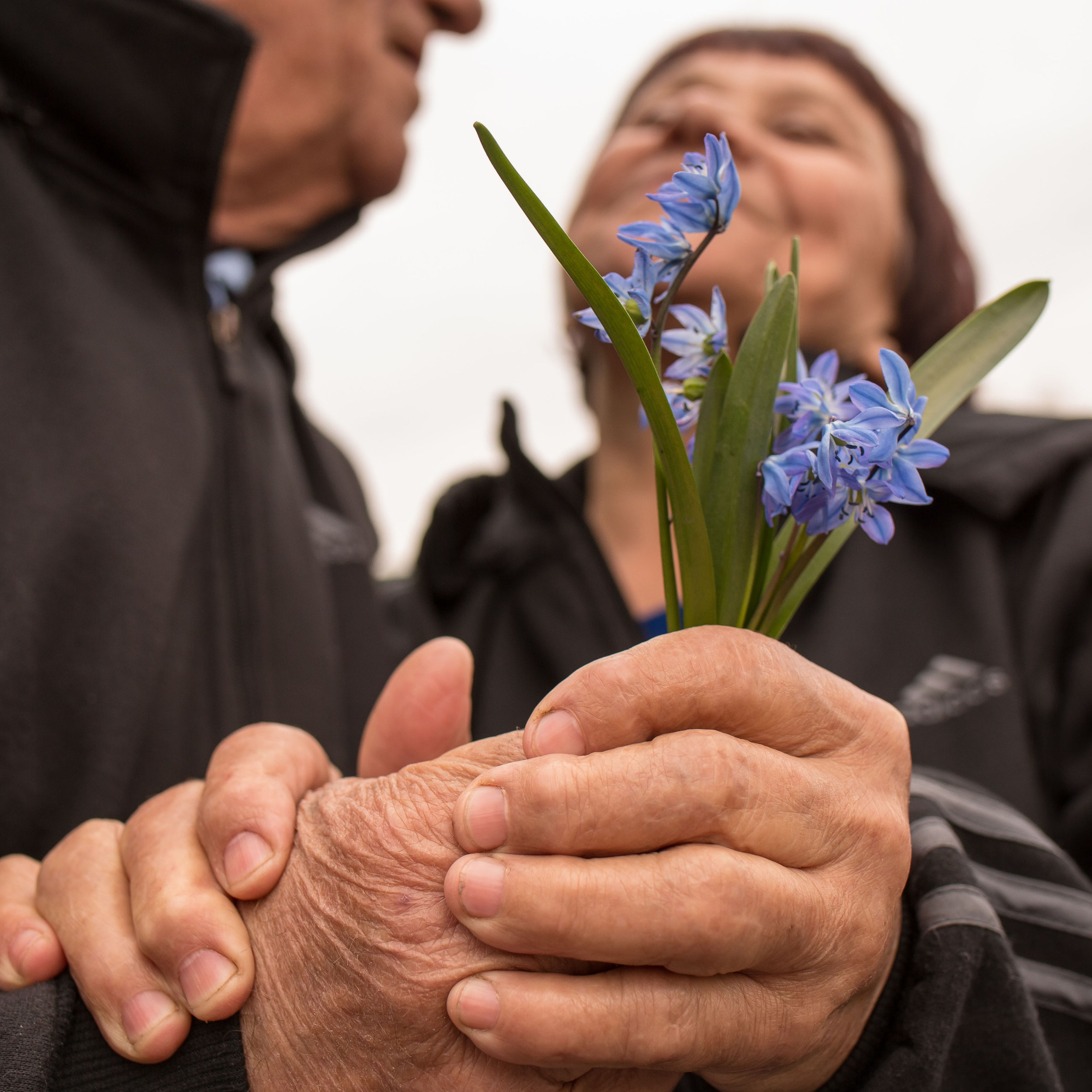 СЕМЕЙНЫЕ ФОТОСЕССИИ. Творческая студия АЛНИфото