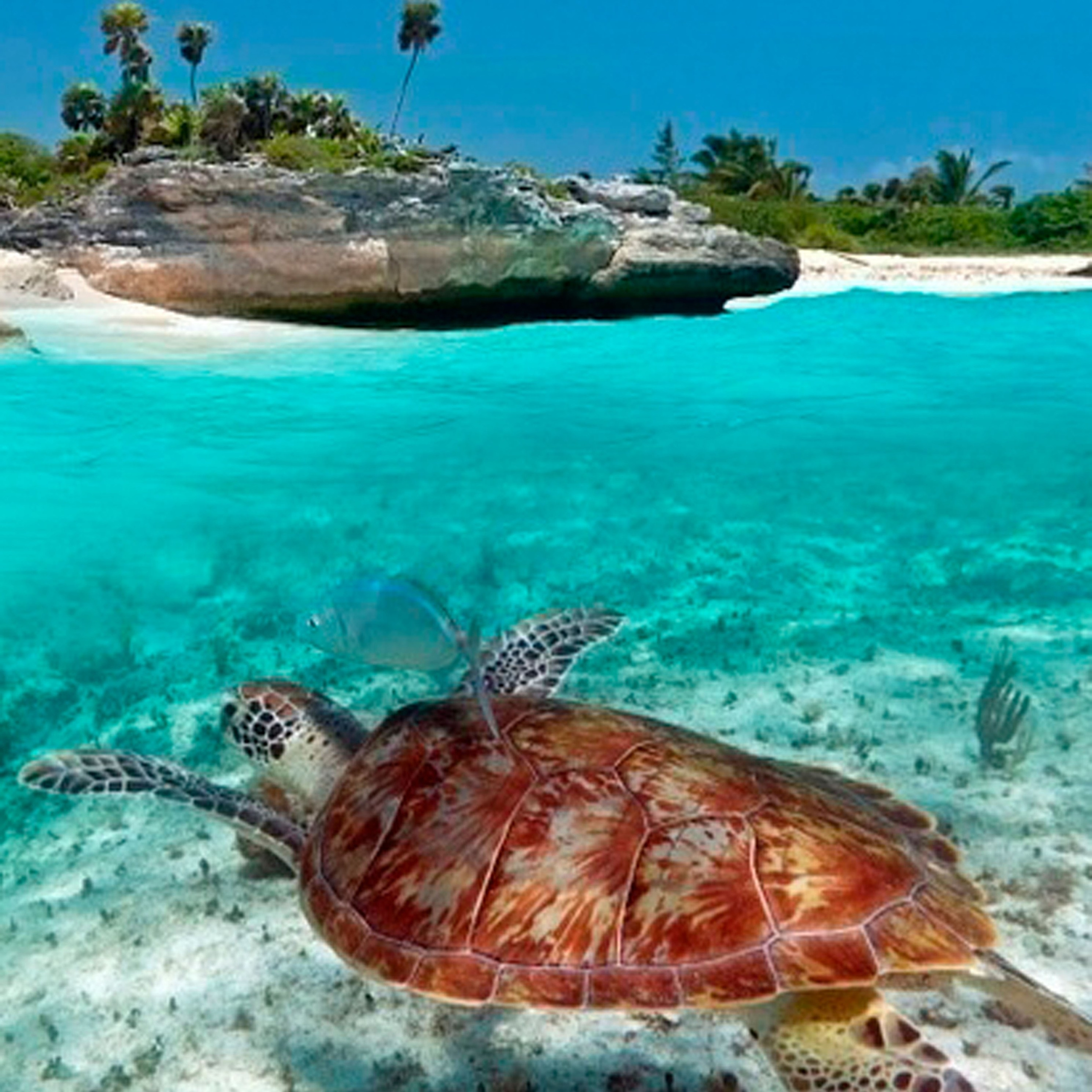 Африка. Туры по России и миру