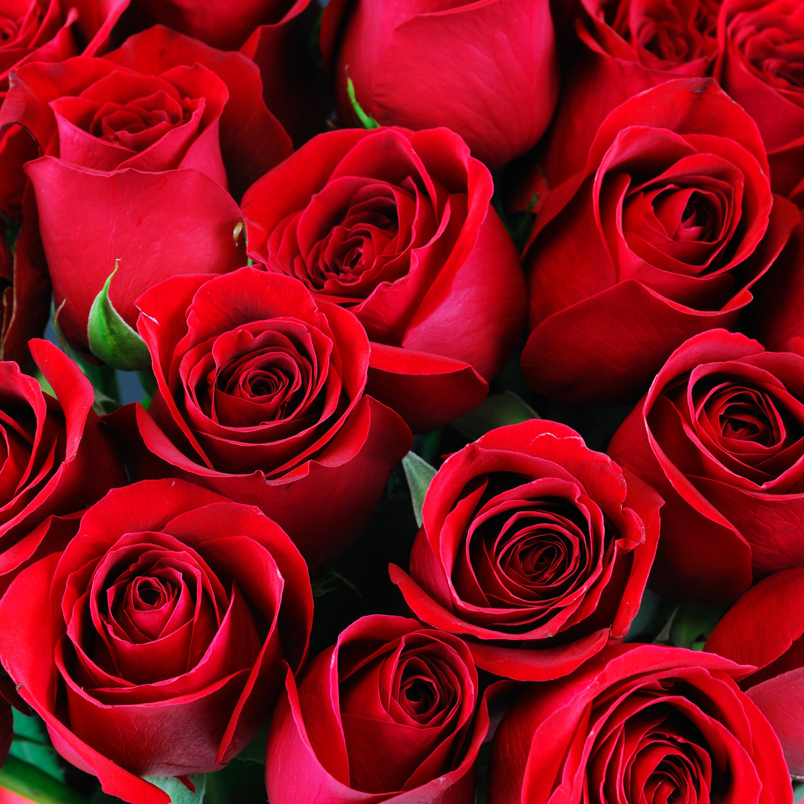 Отзывы. Ведущий и саксофонист в Санкт-петербурге