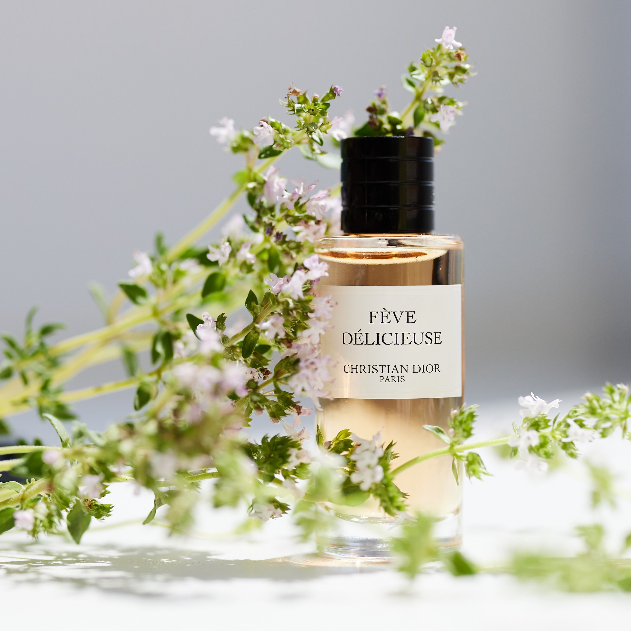 интерьерная и предметная съемка