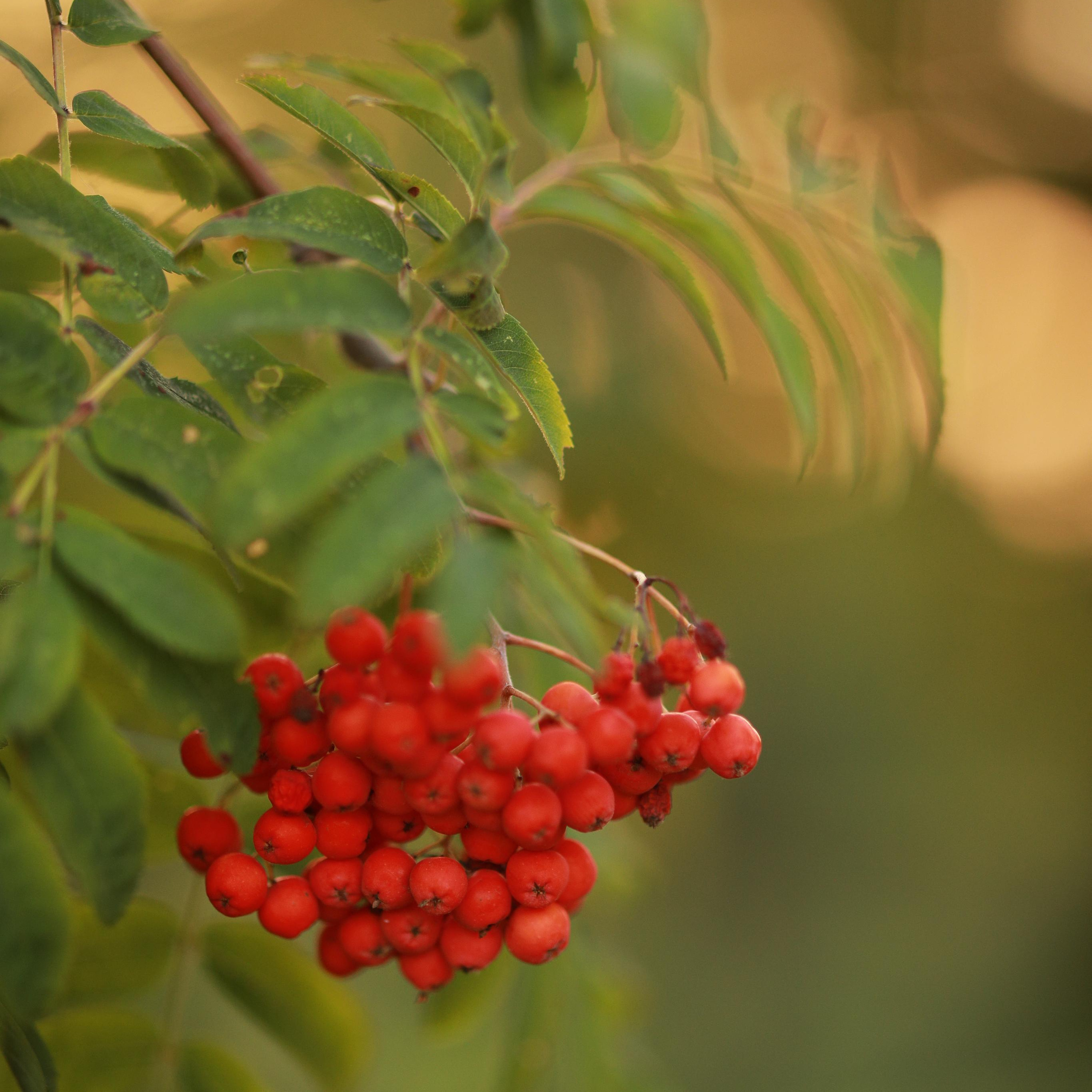 Отзывы. Семейный фотограф в Минске Сонила Ужва