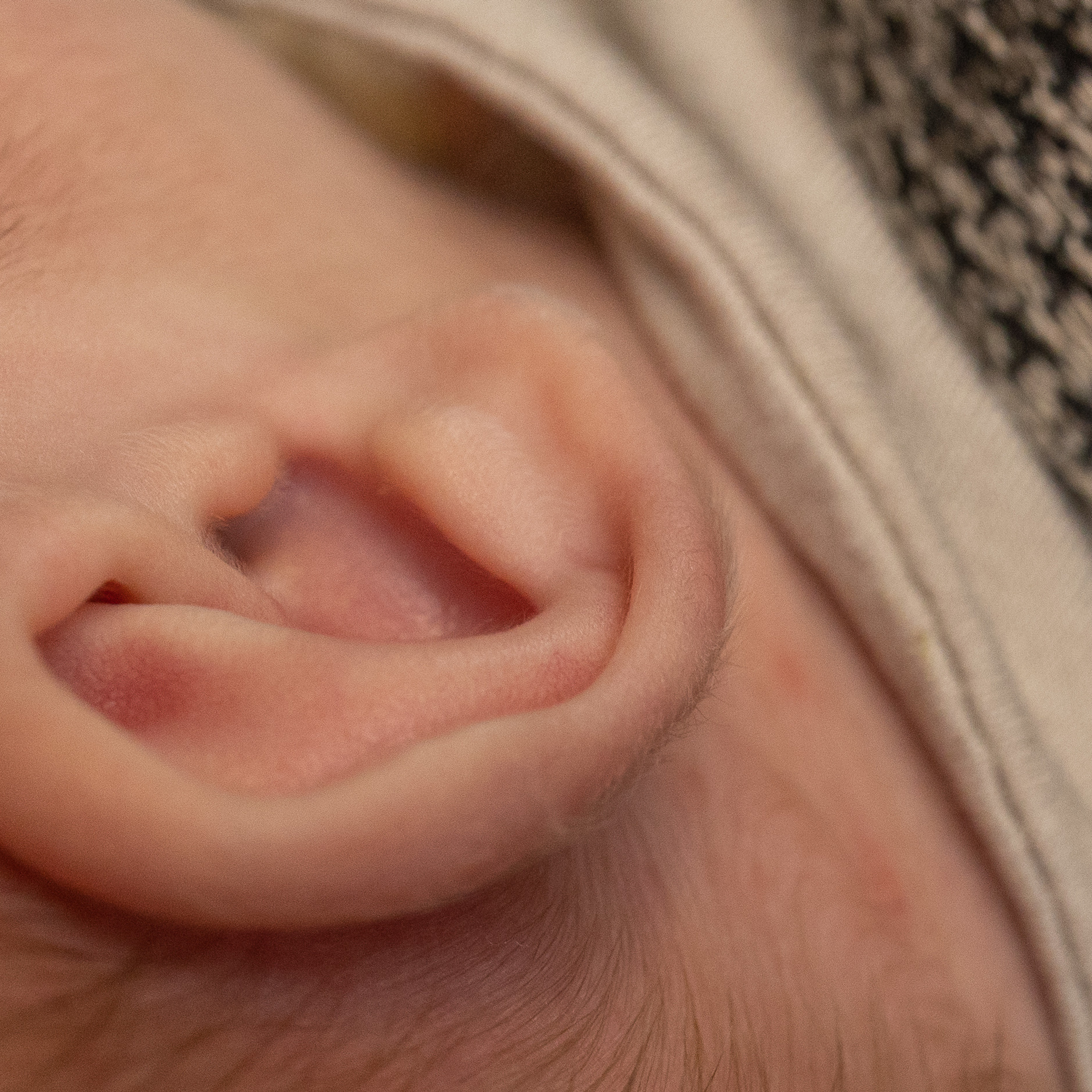 Отзывы. ФОТОГРАФ НОВОРОЖДЁННЫХ САНКТ-ПЕТЕРБУРГ — ДАРЬЯ ПОПОВА