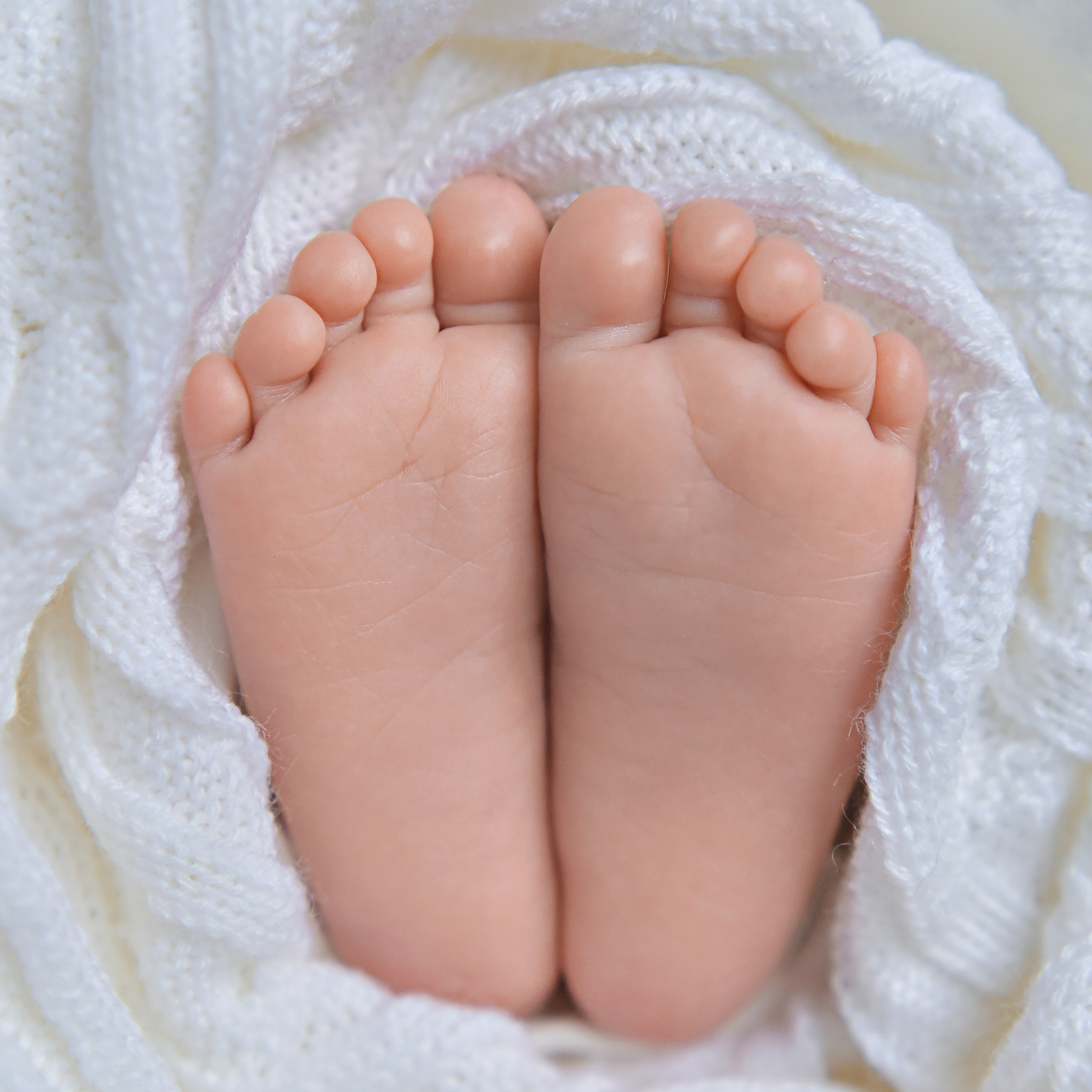 Макро кадры