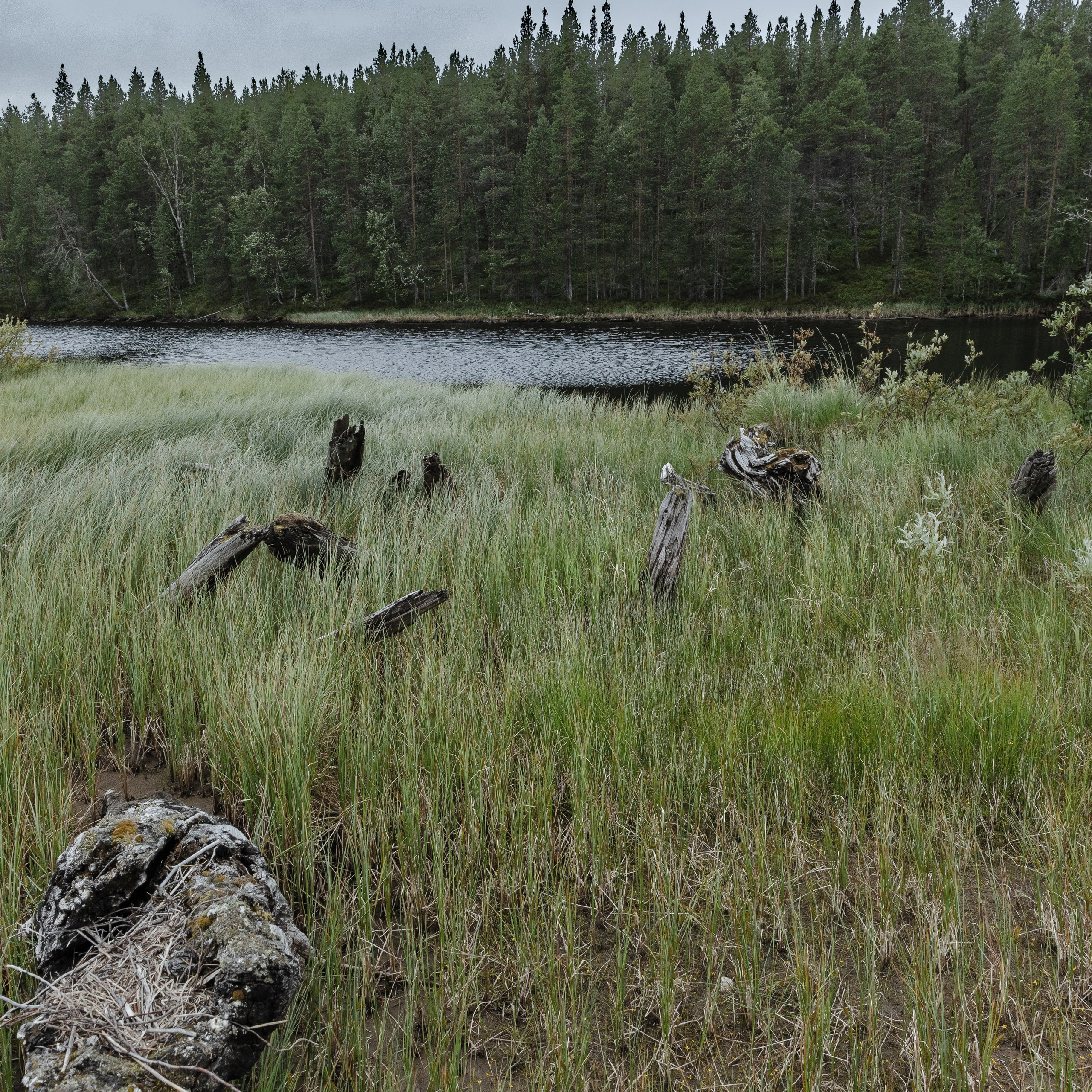 оз. Колвицкое