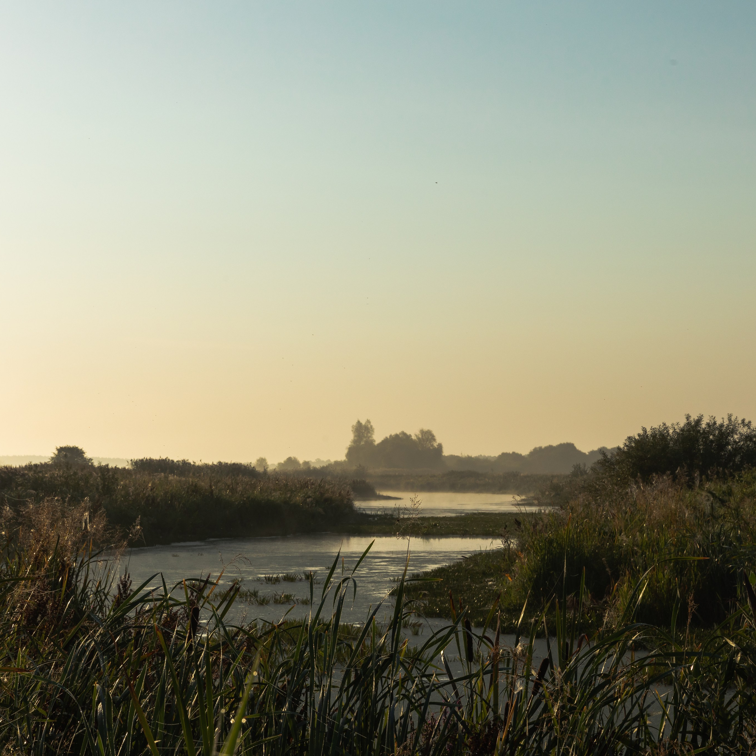 Гвардейск. Август 2022