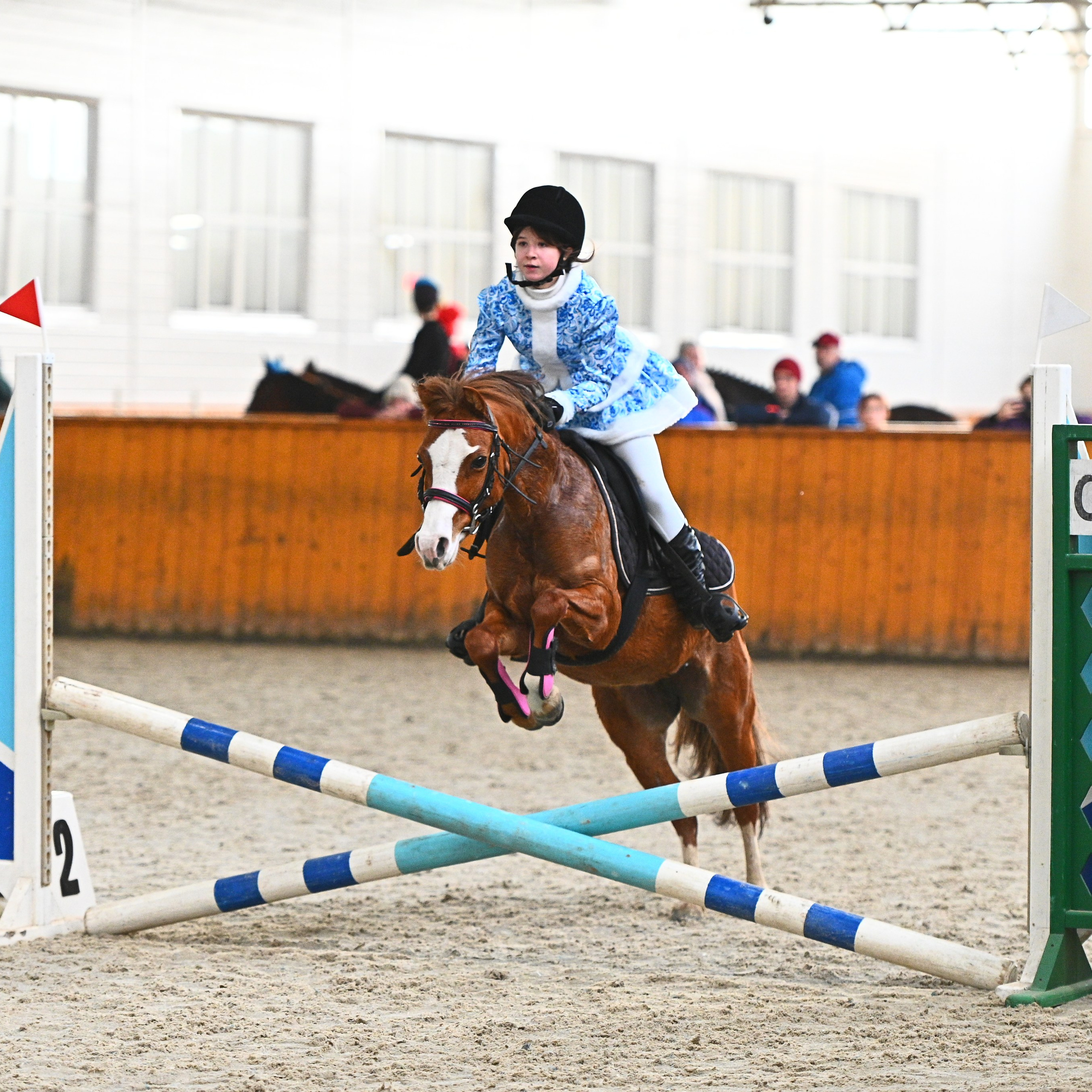 ТУРНИРНАЯ КОННАЯ ФОТОГРАФИЯ, Руднева Ольга и Евгений Адеев