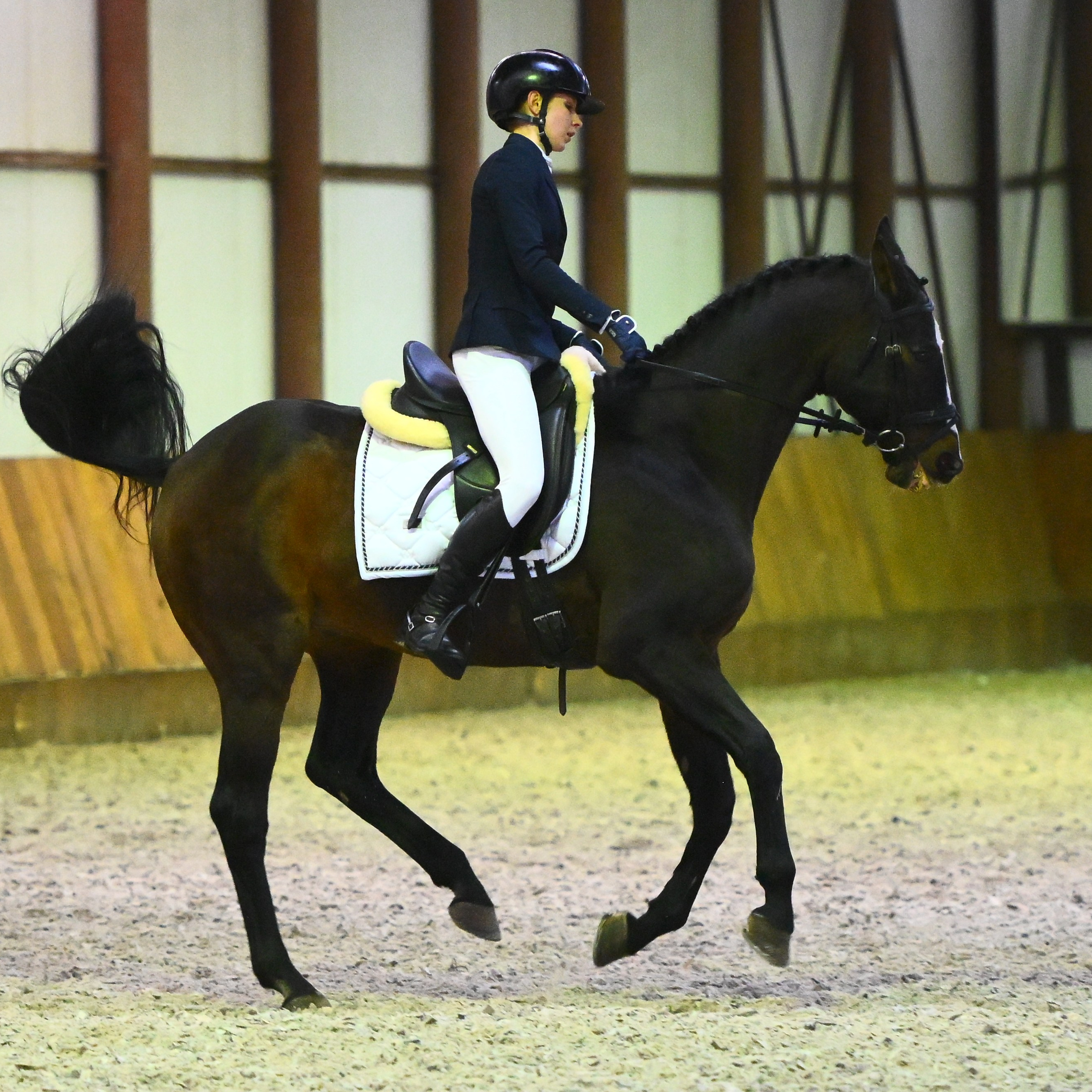 2025.12.14-КСК Престиж — выездка. ТУРНИРНАЯ КОННАЯ ФОТОГРАФИЯ, Руднева Ольга и Евгений Адеев