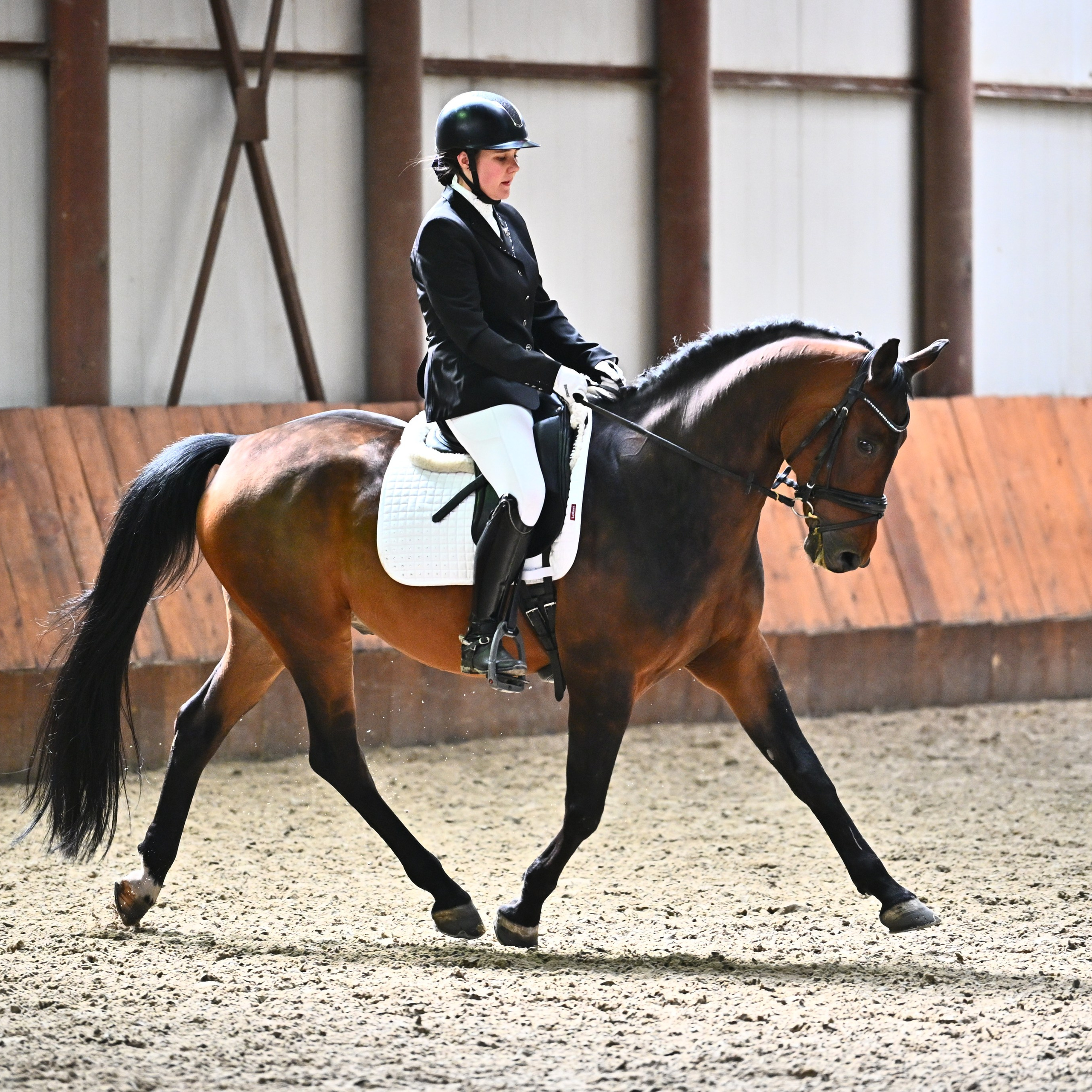 2025.04.27 — КСК Престиж СОРЕВНОВАНИЯ МОСКОВСКОЙ ОБЛАСТИ ПО ВЫЕЗДКЕ