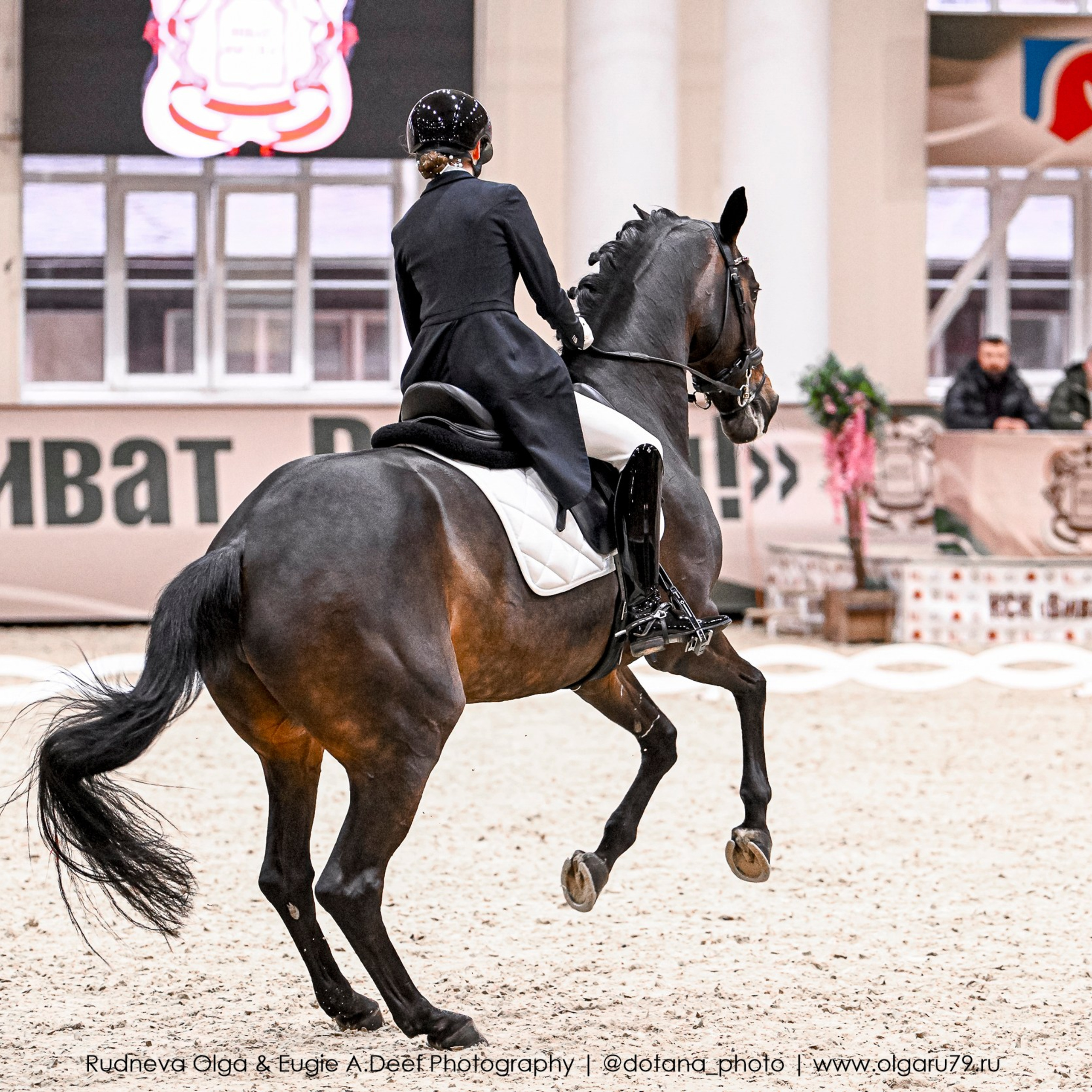 Зимний Кубок ФКСМ по выездке (Виват, Россия!). ТУРНИРНАЯ КОННАЯ ФОТОГРАФИЯ, Руднева Ольга и Евгений Адеев