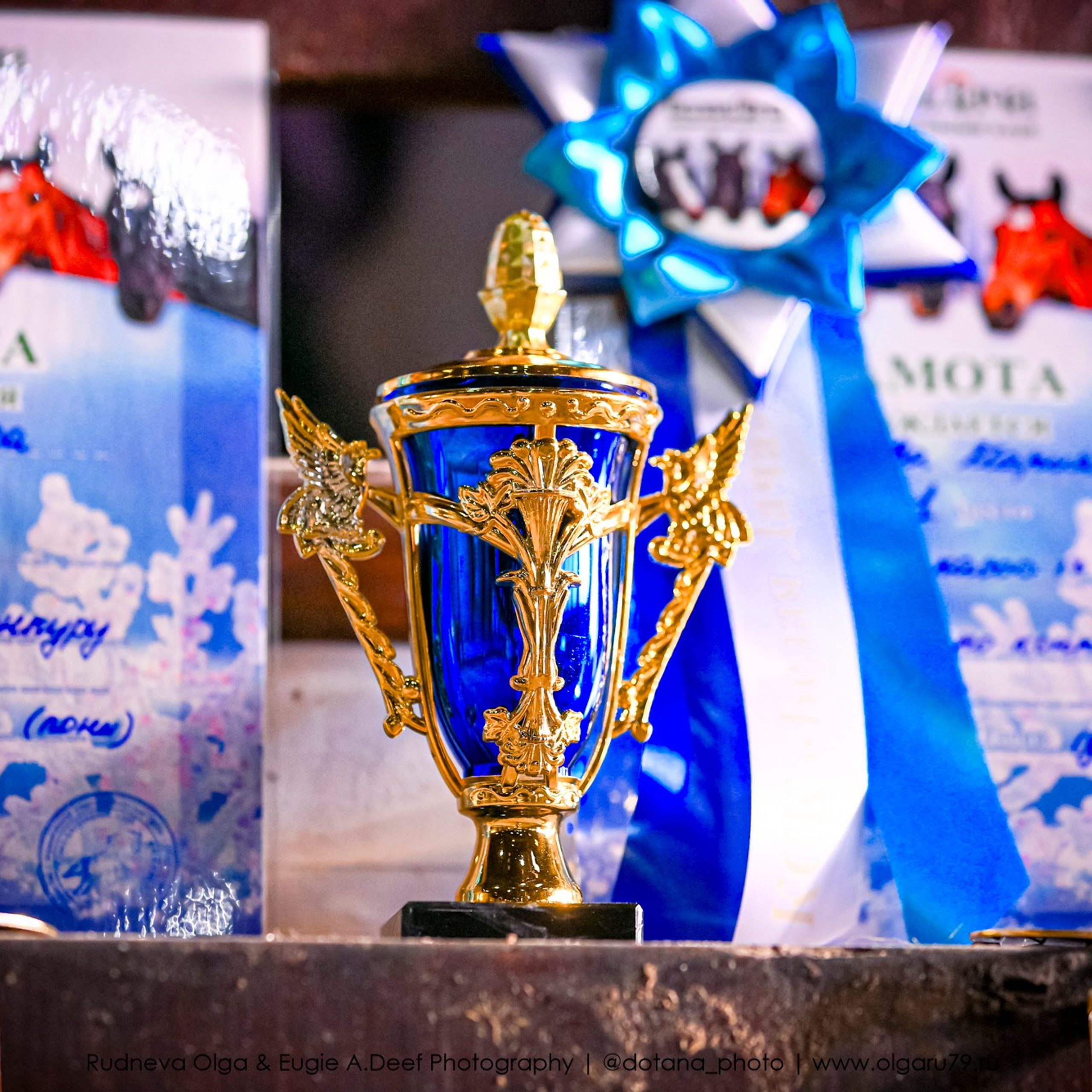 2025.12.06 — КСК Белая Дача — конкур. ТУРНИРНАЯ КОННАЯ ФОТОГРАФИЯ, Руднева Ольга и Евгений Адеев