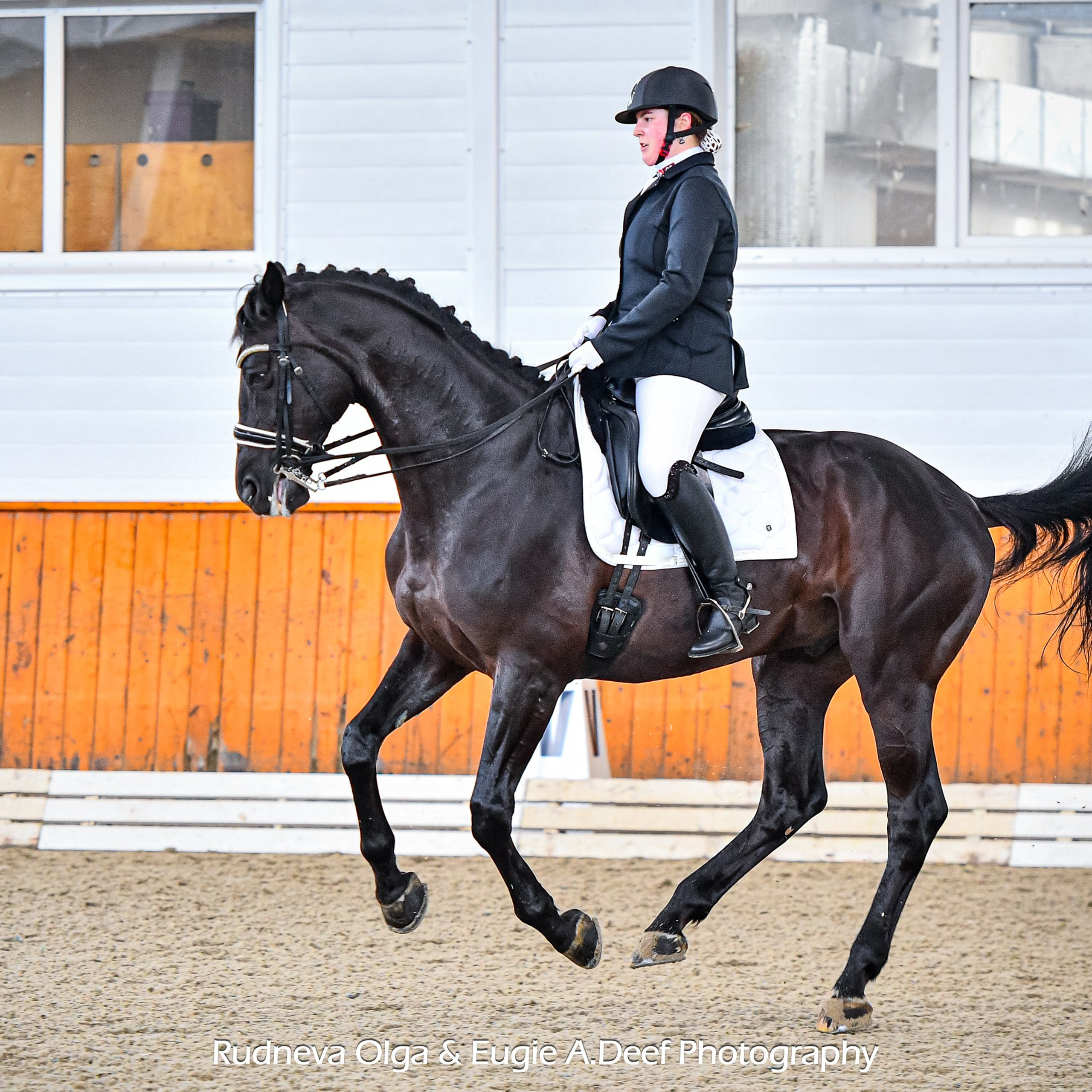 2025.02.16_Открытие зимнего сезона в КСК Конкорд (выездка)