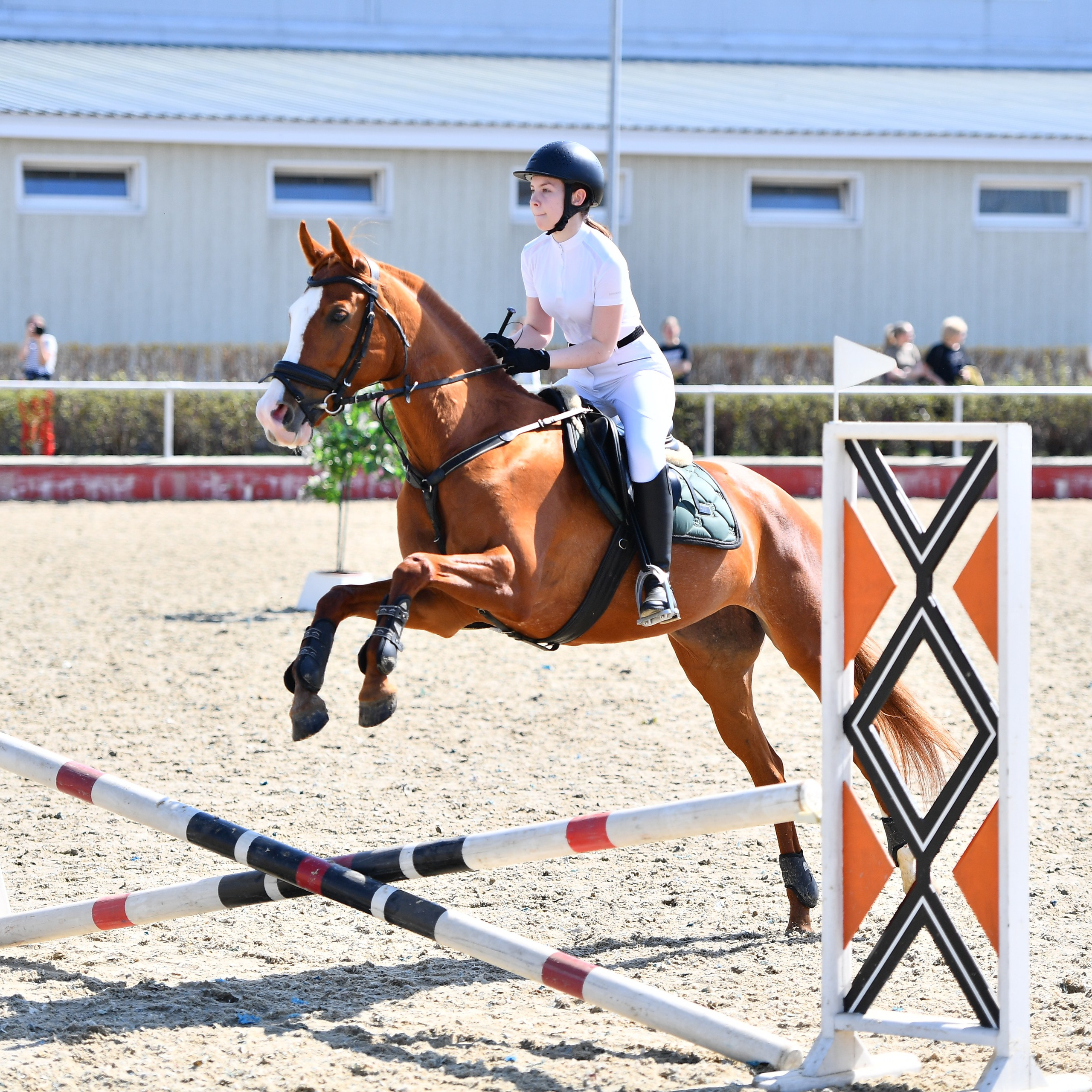ТУРНИРНАЯ КОННАЯ ФОТОГРАФИЯ, Руднева Ольга и Евгений Адеев