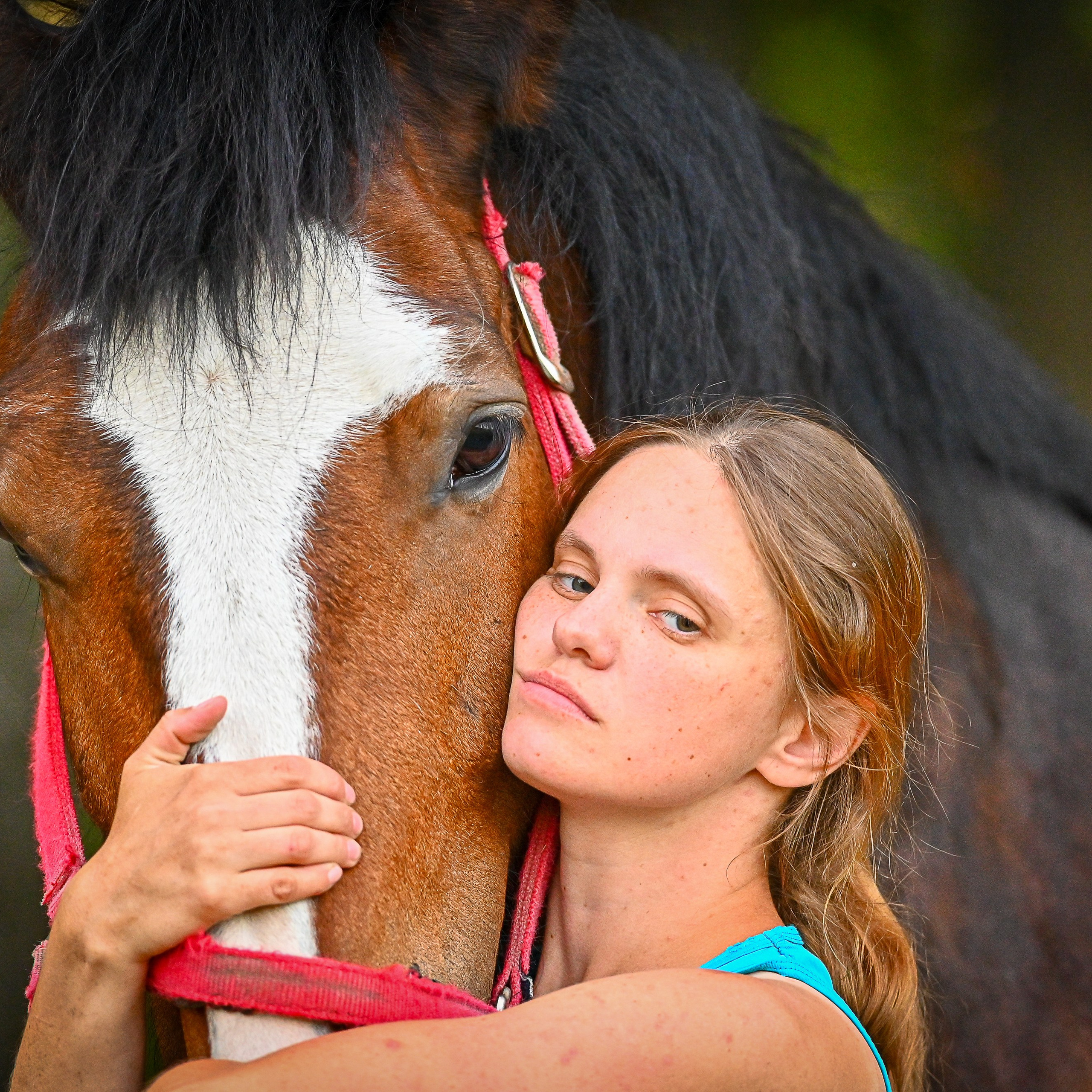 Лошади и их люди