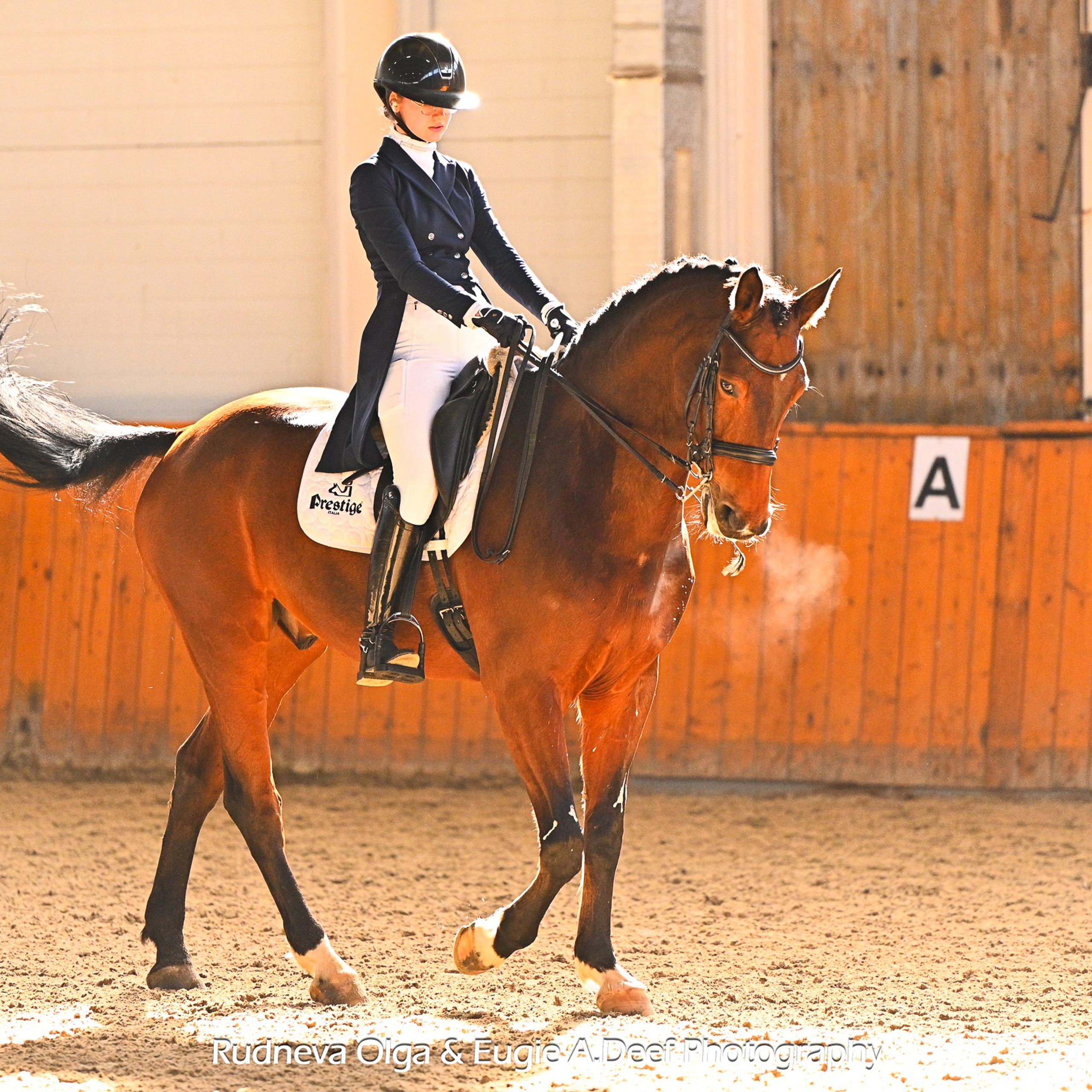 2025.03.16 — выездка, КСК Конкорд