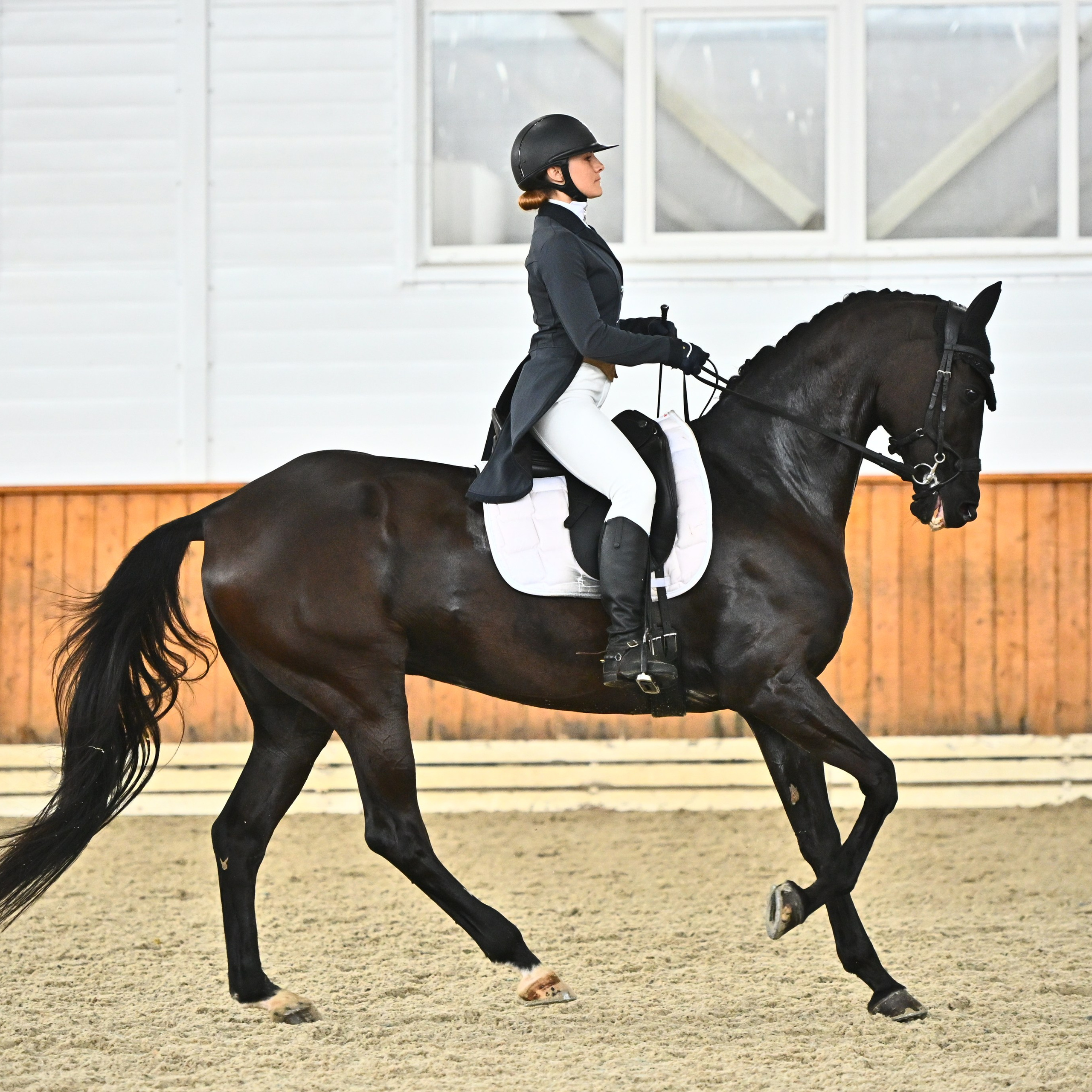 2025.04.13 — Открытые сор-ния по выездке в КСК Конкорд