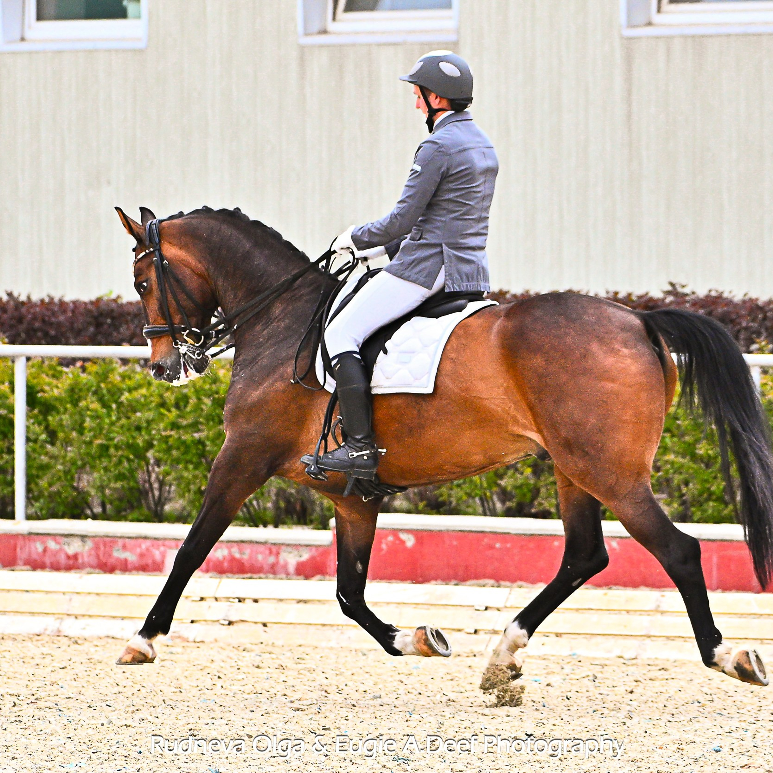 2025-05-18 — ВЕСЕННЙ БАЛ В КСК «КОНКОРД» (выездка) (1)