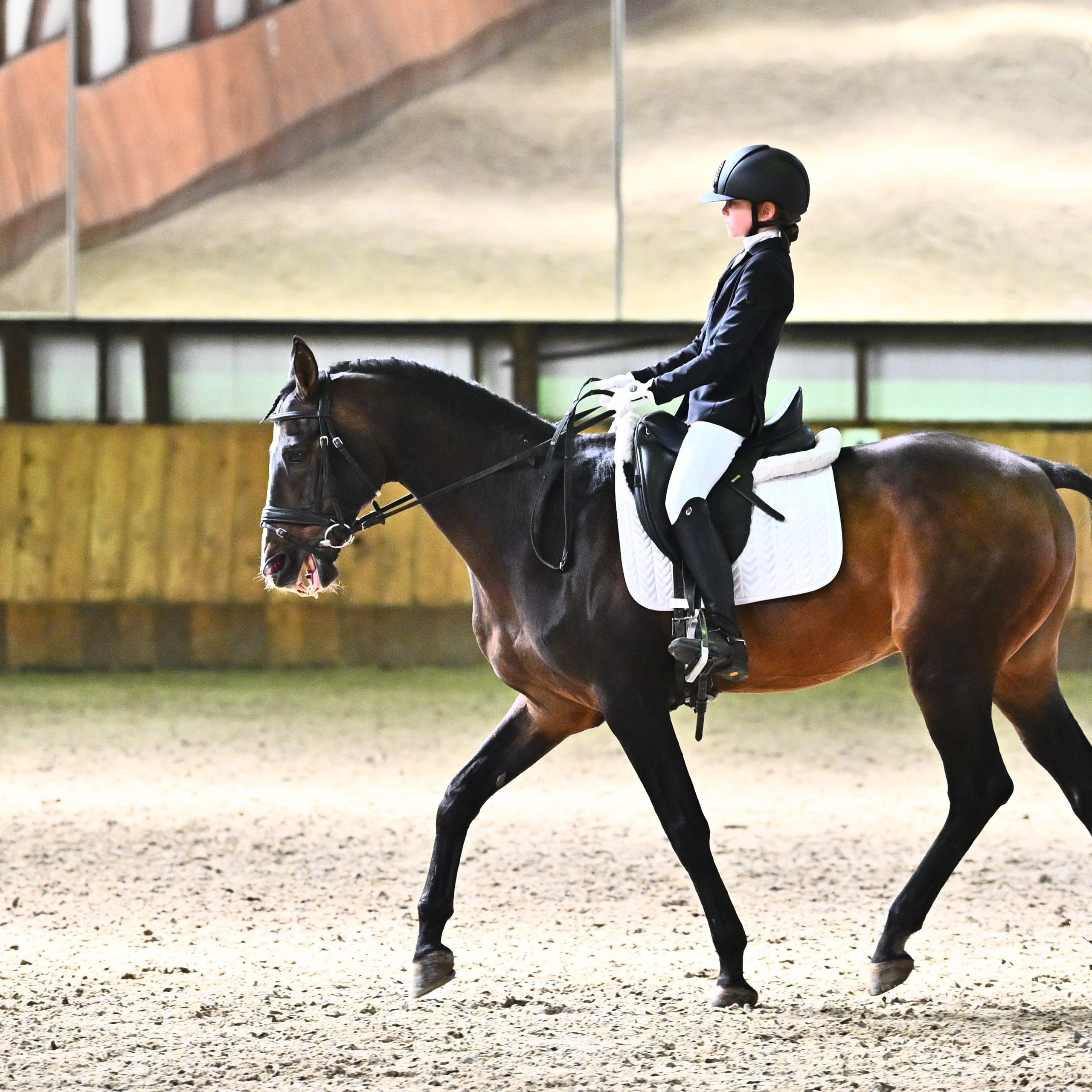 ТУРНИРНАЯ КОННАЯ ФОТОГРАФИЯ, Руднева Ольга и Евгений Адеев