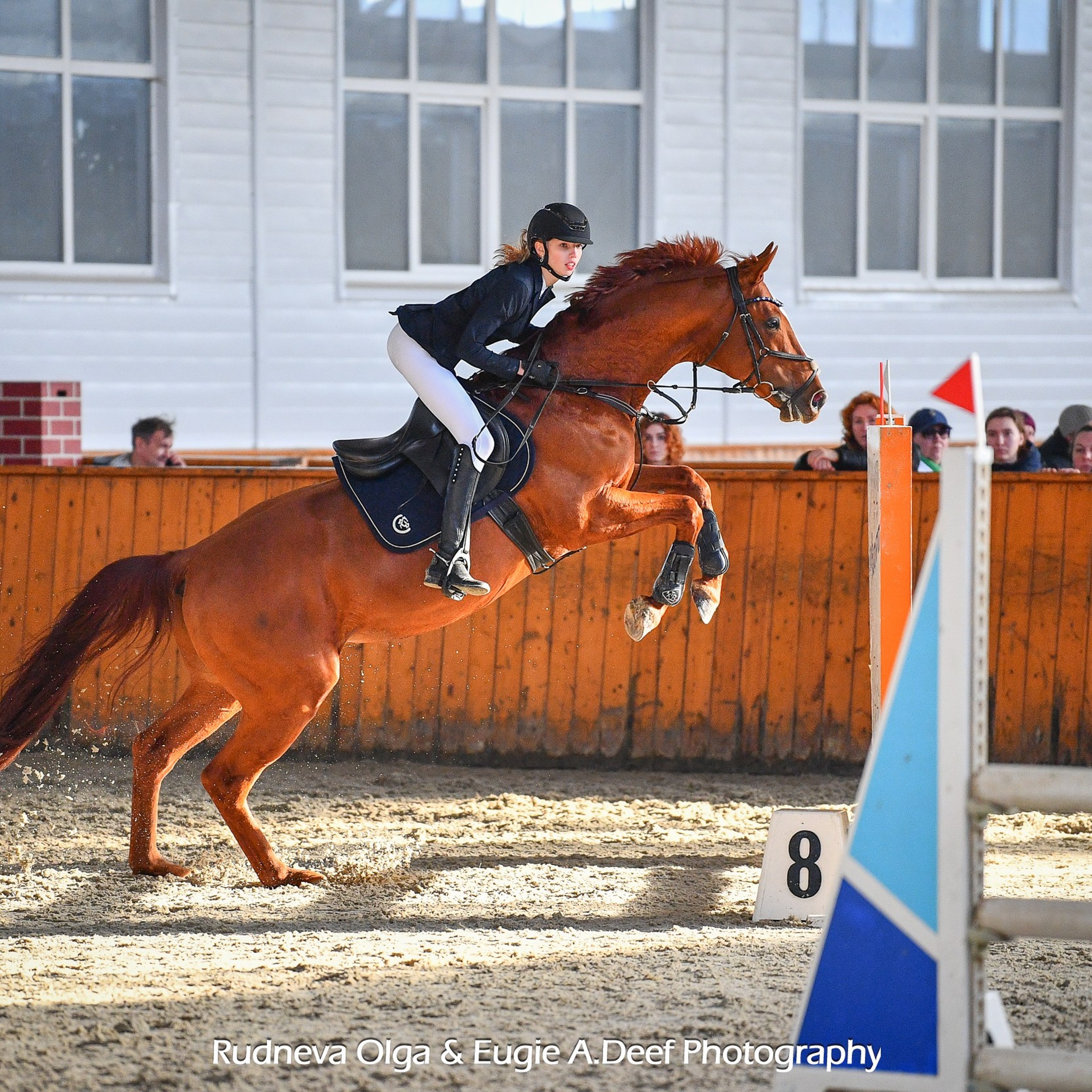 2025.02.23 — КСК Конкорд (конкур) День Защитника Отечества