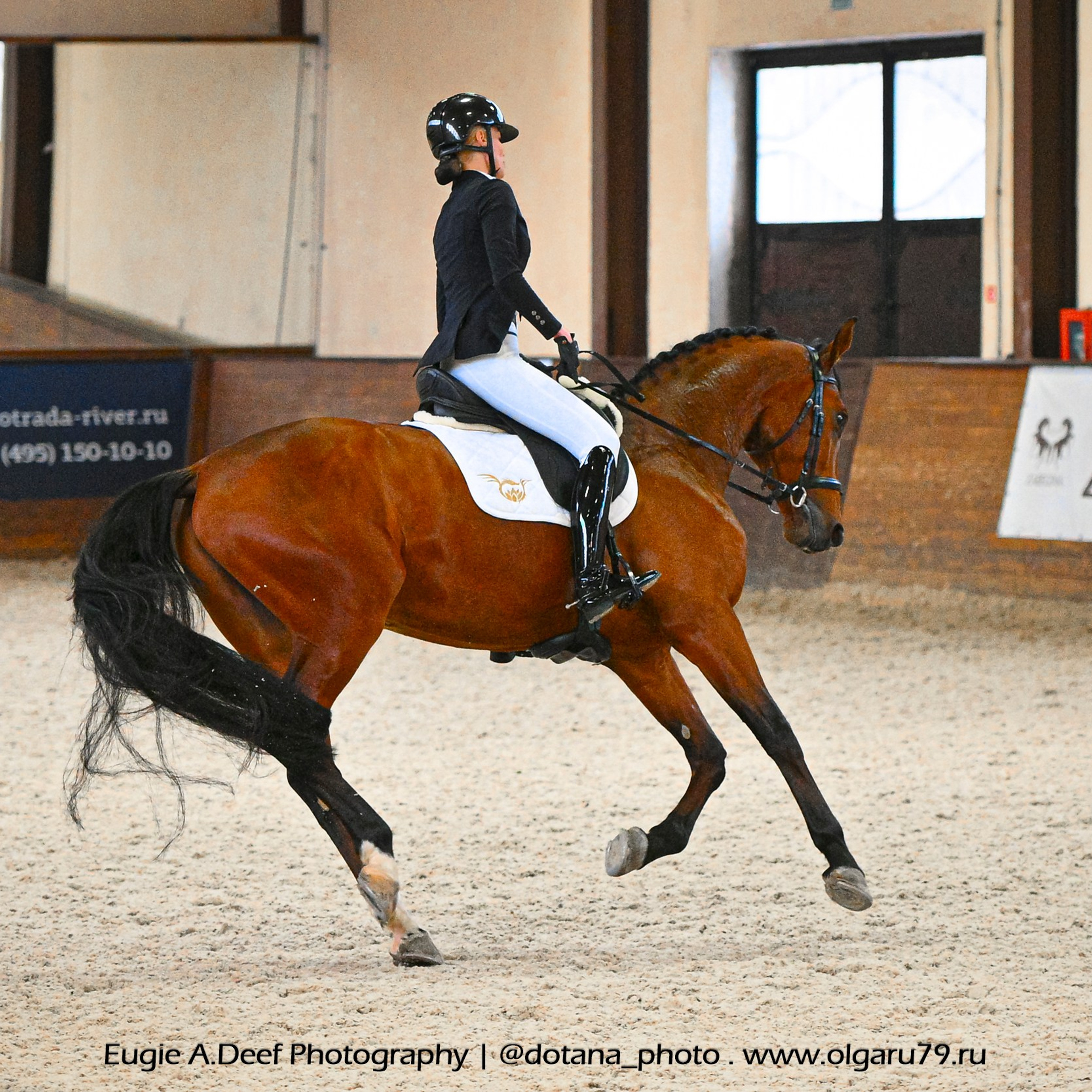 2026 март 14 КСК УРОЖАЙ (ВЫЕЗДКА). ТУРНИРНАЯ КОННАЯ ФОТОГРАФИЯ, Руднева Ольга и Евгений Адеев