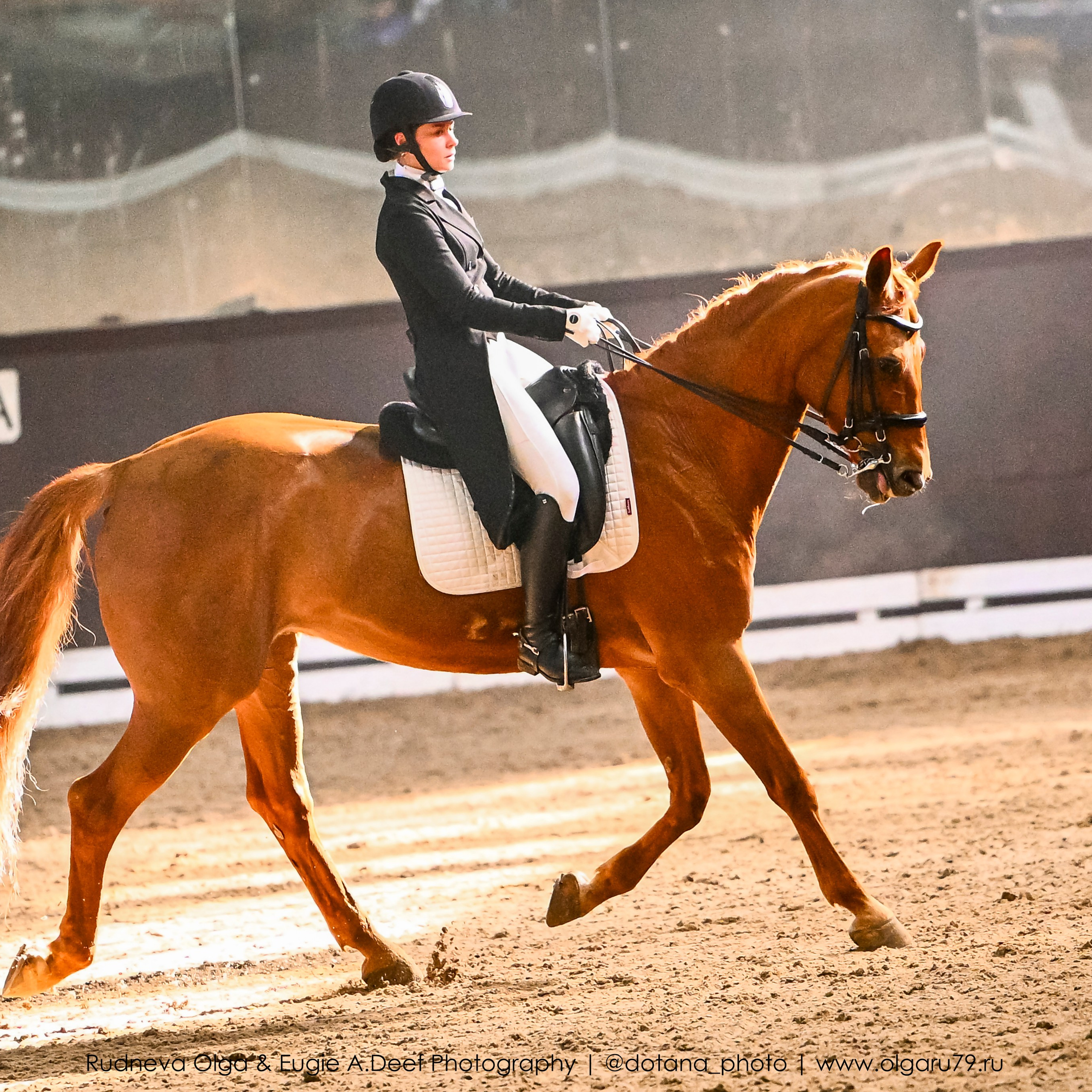 2026 март 12-14 КСК «ВИВАТ, РОССИЯ!» (КУБОК РОССИИ, КОНКУР). ТУРНИРНАЯ КОННАЯ ФОТОГРАФИЯ, Руднева Ольга и Евгений Адеев