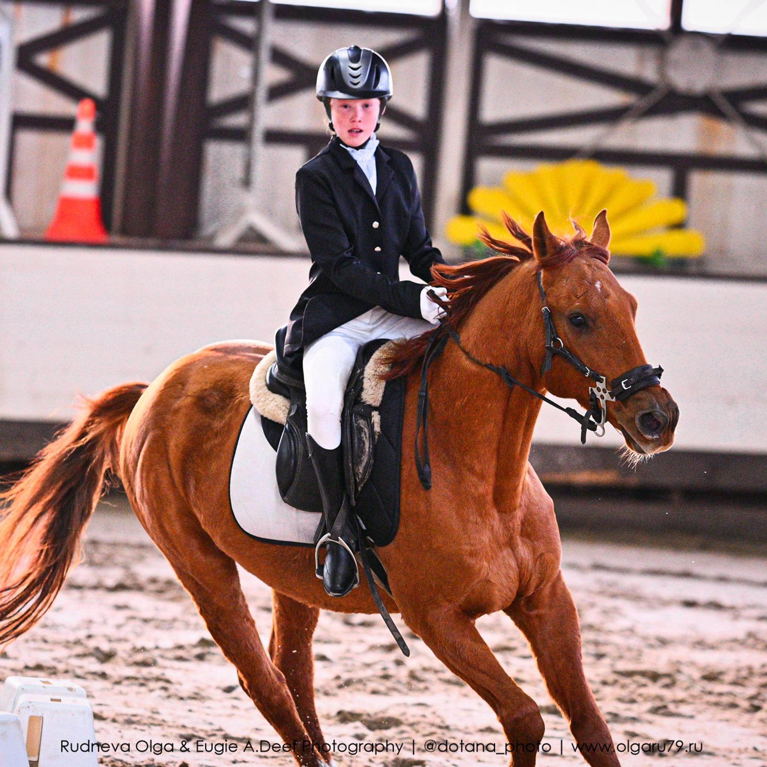 2025.12.06 — КСК Белая Дача — конкур. ТУРНИРНАЯ КОННАЯ ФОТОГРАФИЯ, Руднева Ольга и Евгений Адеев