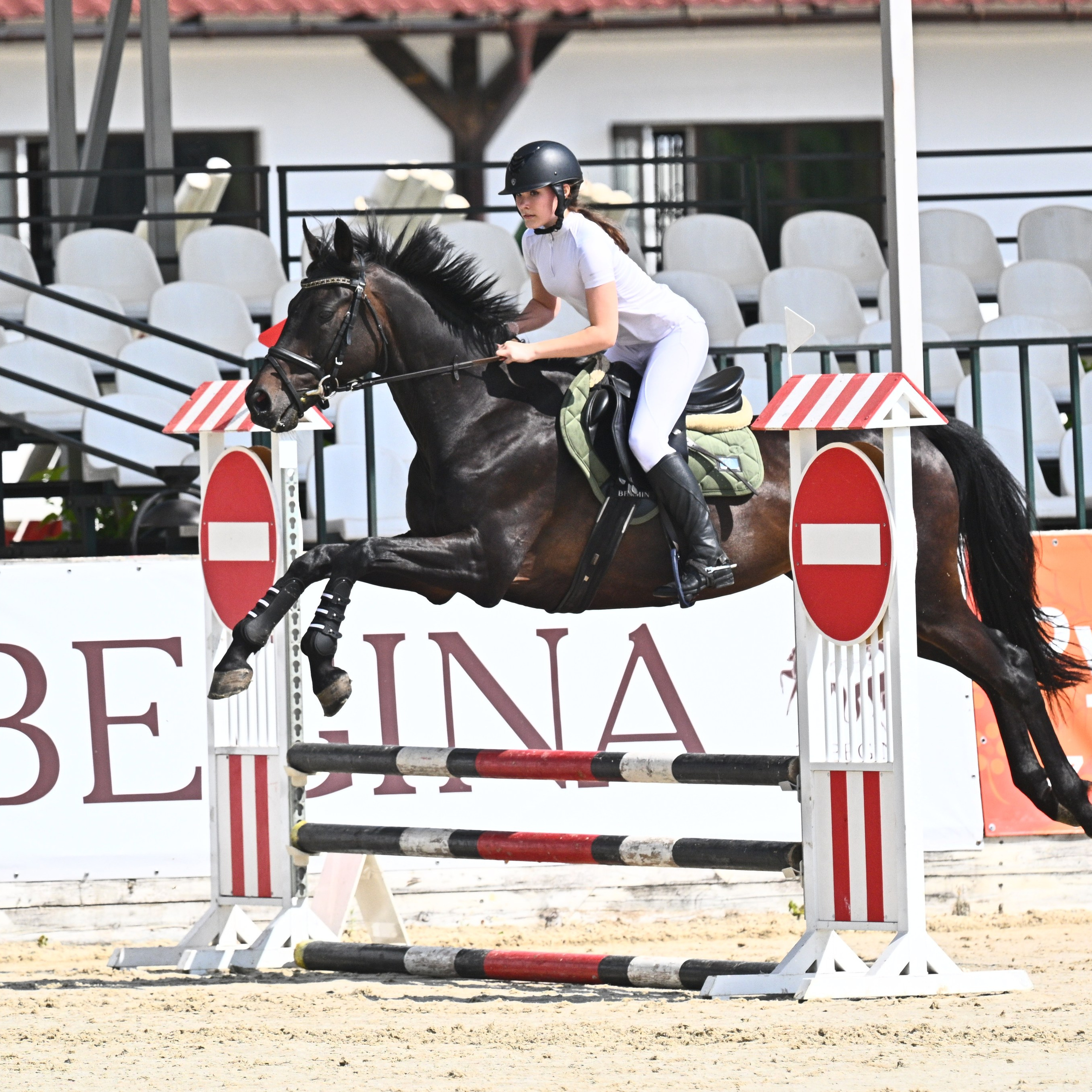 ТУРНИРНАЯ КОННАЯ ФОТОГРАФИЯ, Руднева Ольга и Евгений Адеев