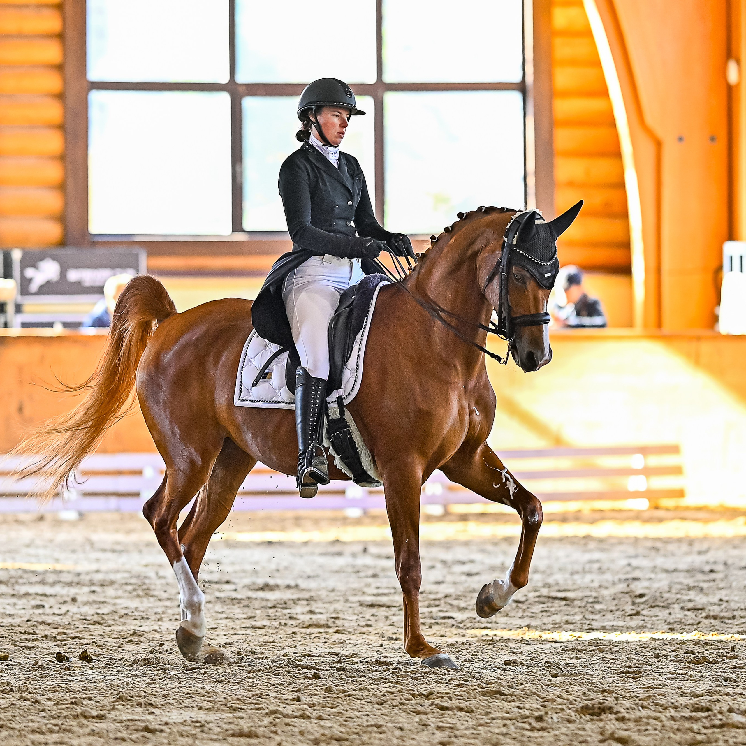 2024.10.12 — Кубок КСК Пегас по выездке