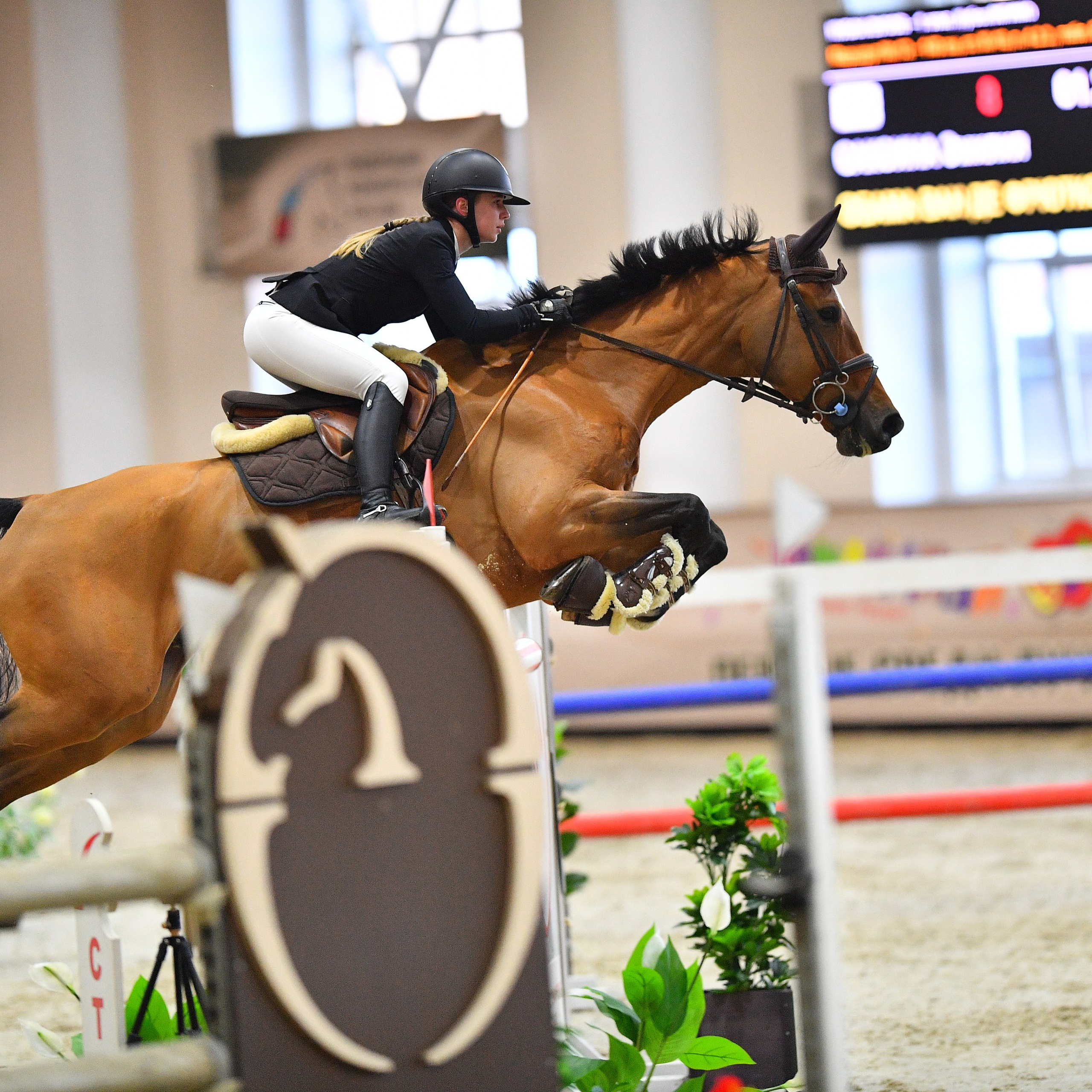 ТУРНИРНАЯ КОННАЯ ФОТОГРАФИЯ, Руднева Ольга и Евгений Адеев