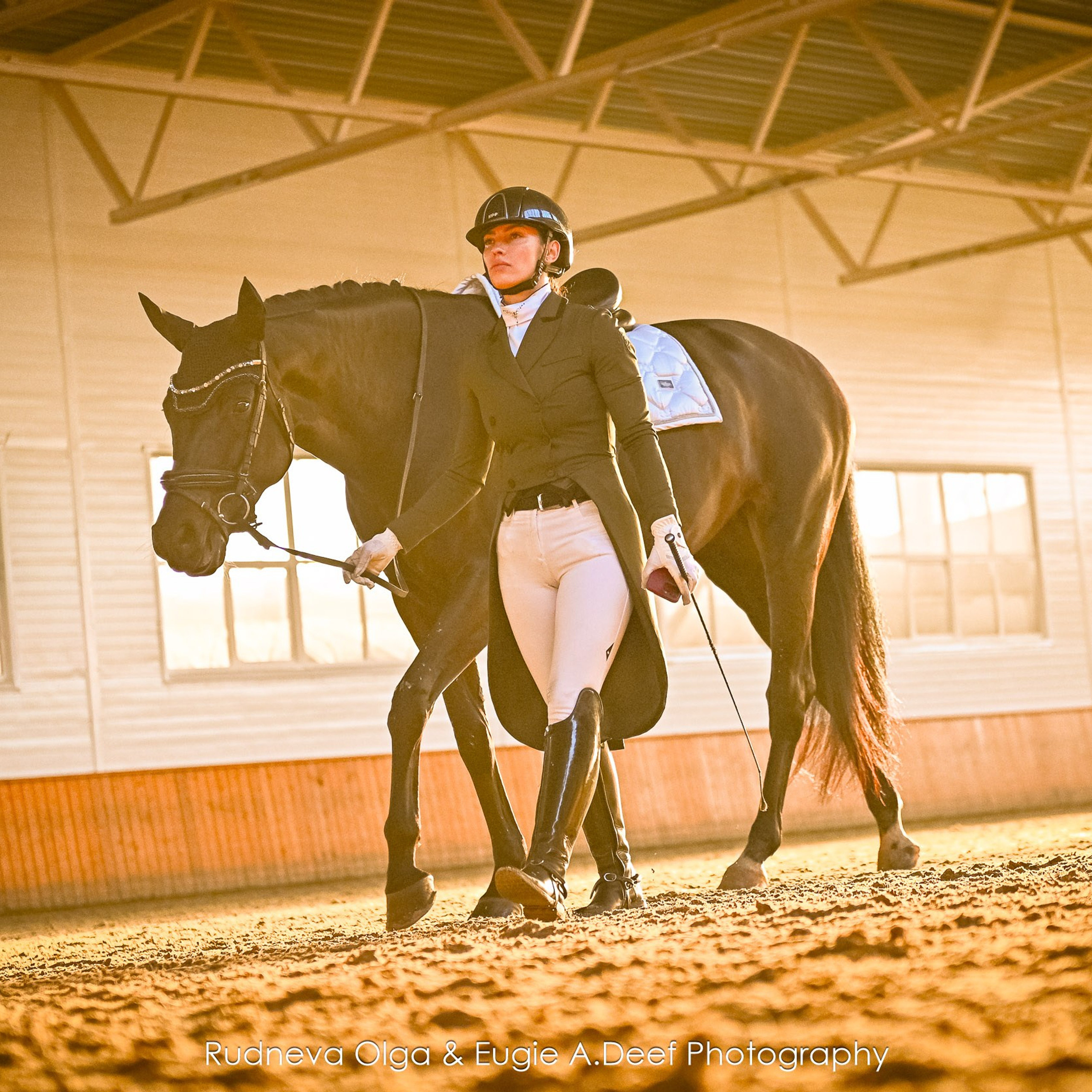 2024.12.22_Зимний Карнавал в КСК Конкорд (выездка)