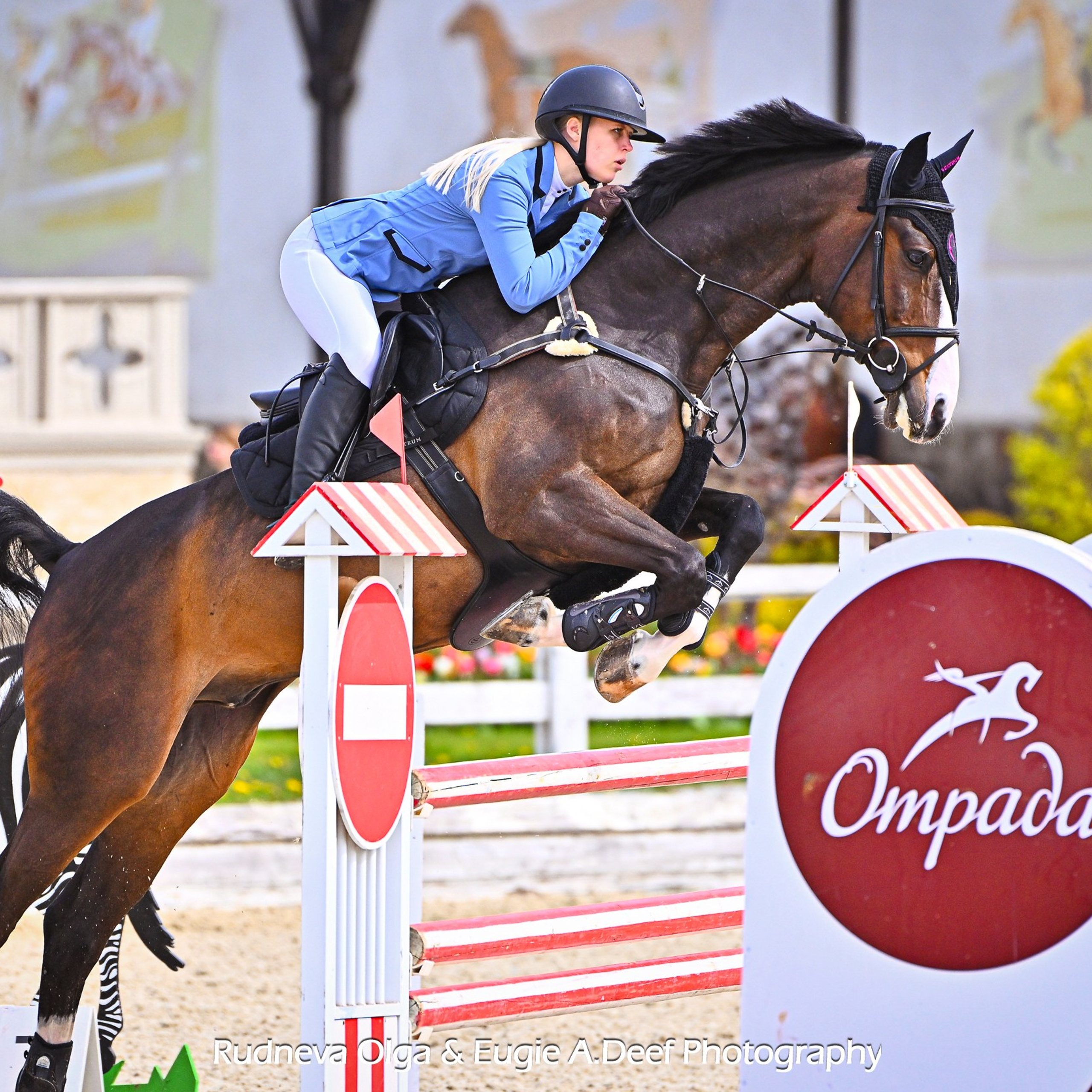 Открытые соревнования на Кубок КСК «Отрада» по конкуру (1)