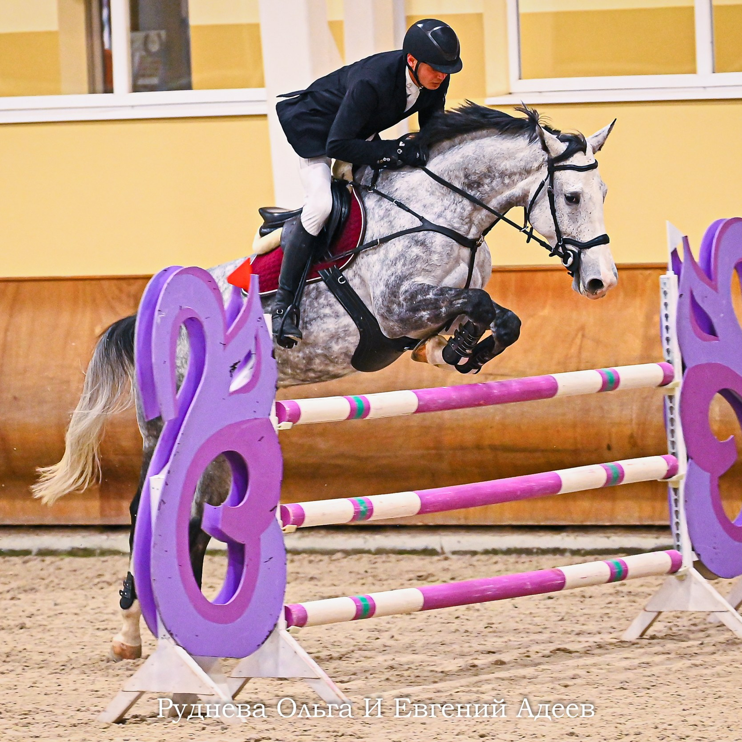 2024.11.16 Зимний Кубок КСК Дивный по конкуру в помещении