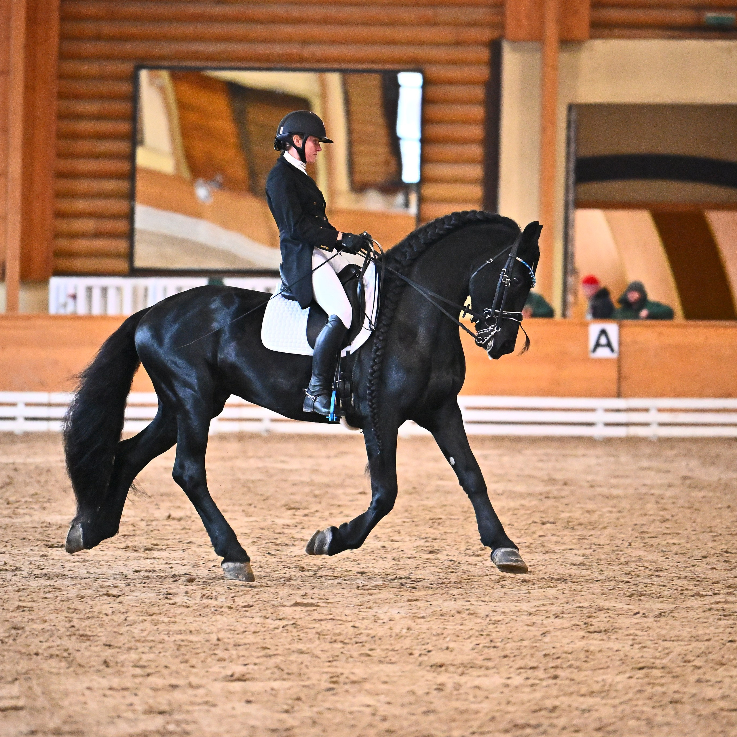 2024.12.07 — Новогодний Кубок КСК «Пегас» по выездке