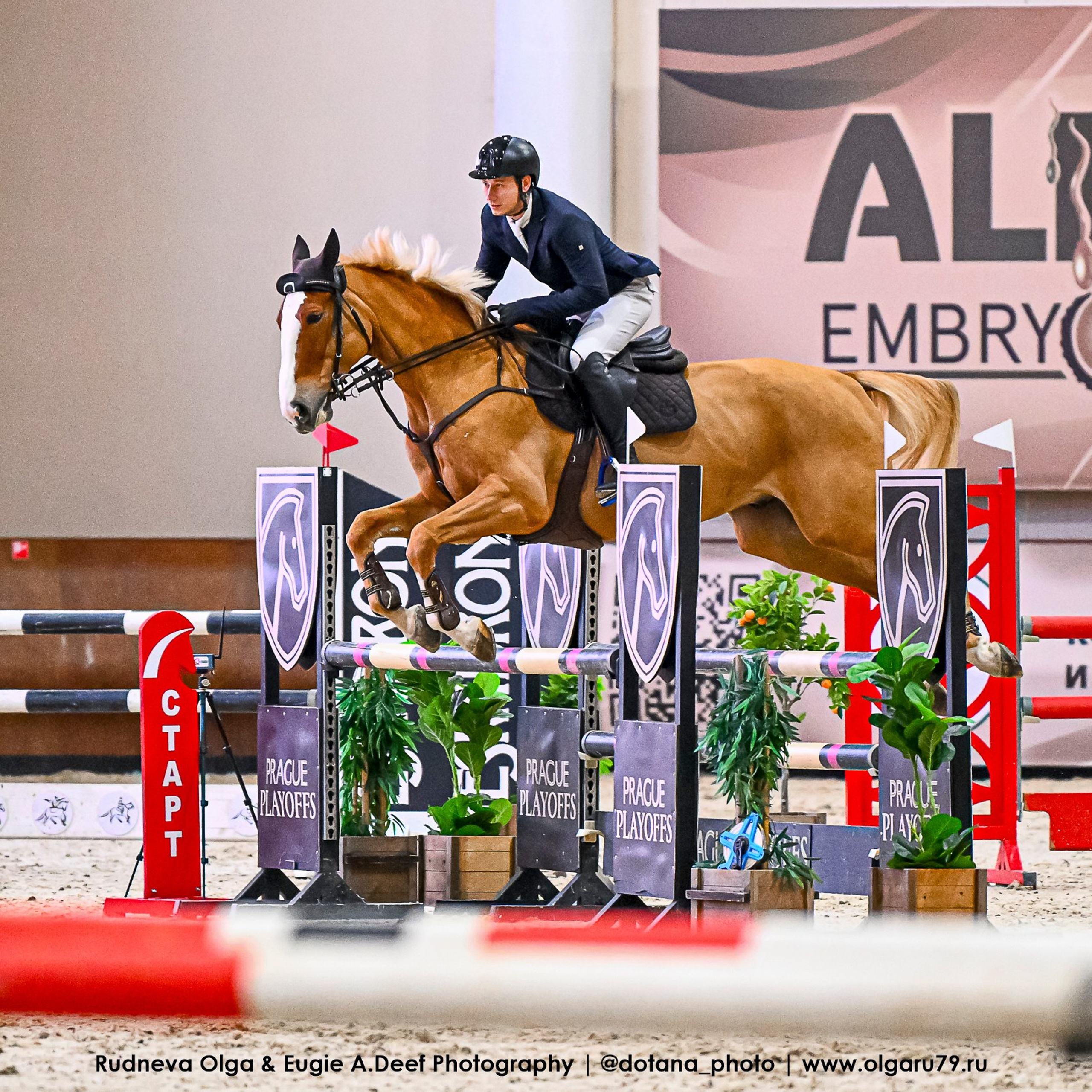 2026-02-06-08 КСК ВИВАТ, РОССИЯ! (ВЫЕЗДКА). ТУРНИРНАЯ КОННАЯ ФОТОГРАФИЯ, Руднева Ольга и Евгений Адеев