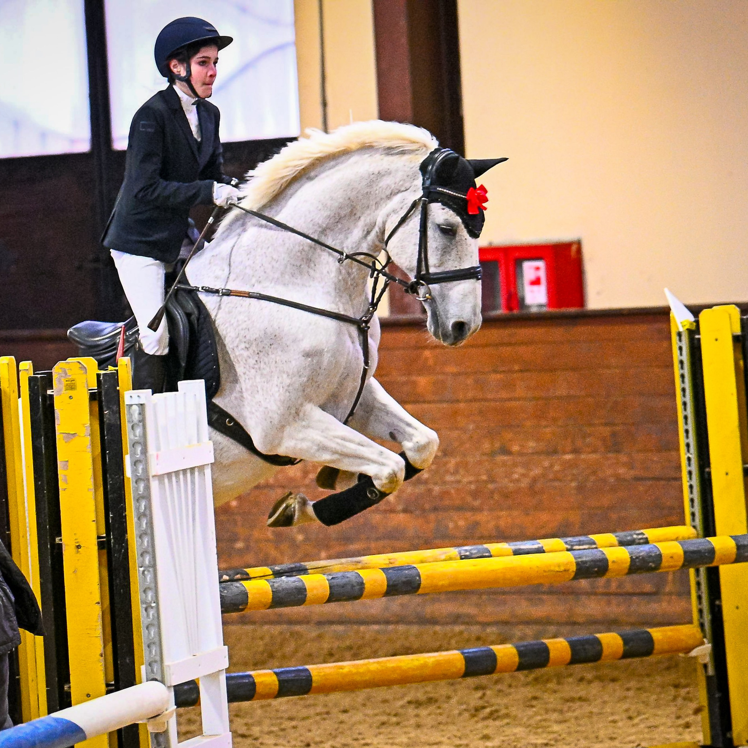 2024.12.21 — Новогодние соревнования Кубок КСК «Отрада» по конкуру