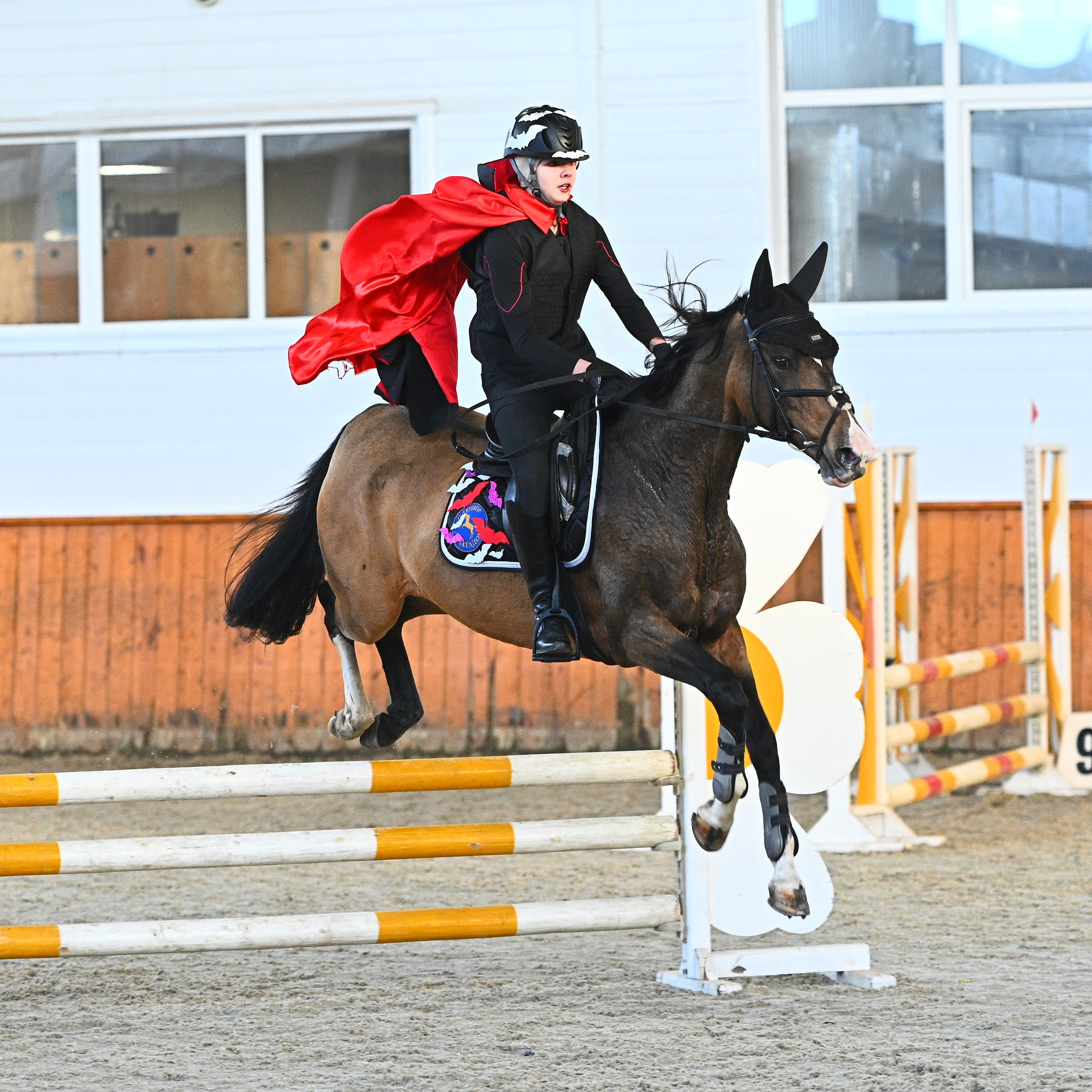 2024.12.21_Новогодний костюмированный конкур в КСК «Конкорд»