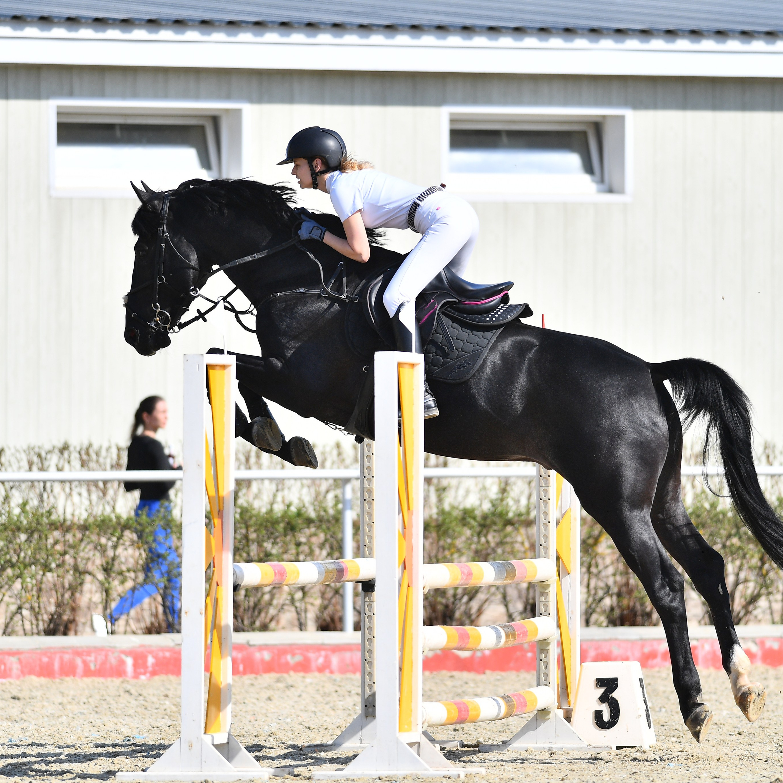 2025.04.20 — Весенний Кубок КСК Конкорд по конкуру