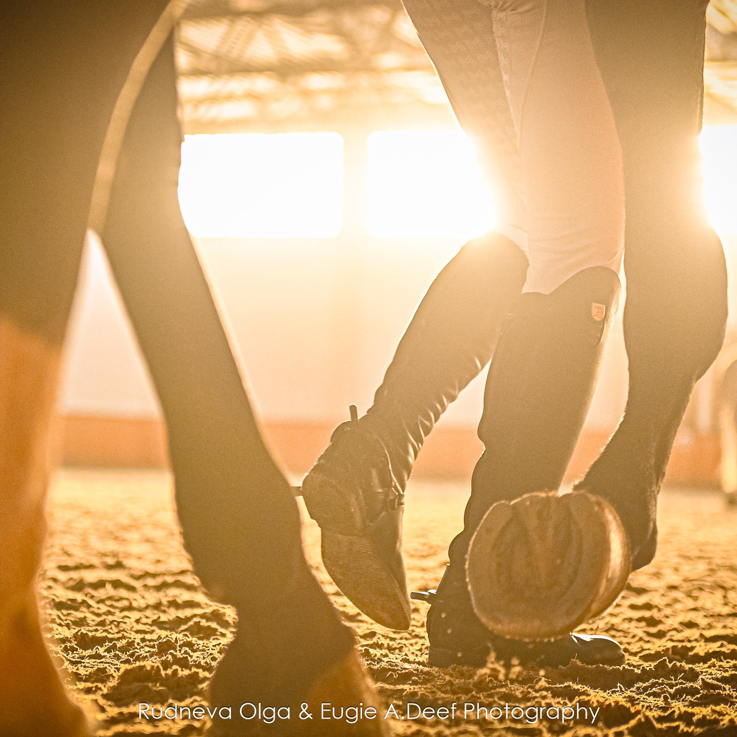 ТУРНИРНАЯ КОННАЯ ФОТОГРАФИЯ, Руднева Ольга и Евгений Адеев