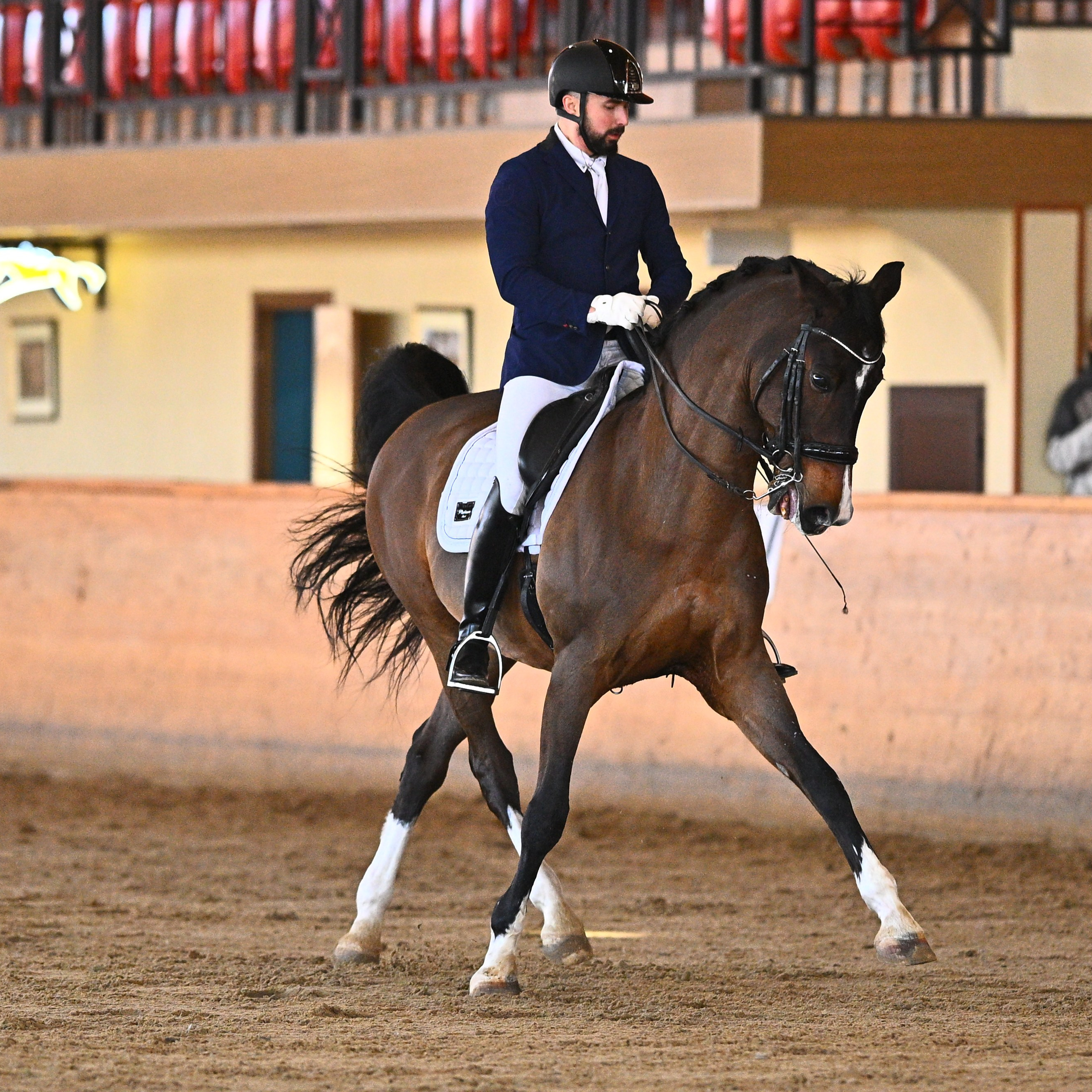 ТУРНИРНАЯ КОННАЯ ФОТОГРАФИЯ, Руднева Ольга и Евгений Адеев