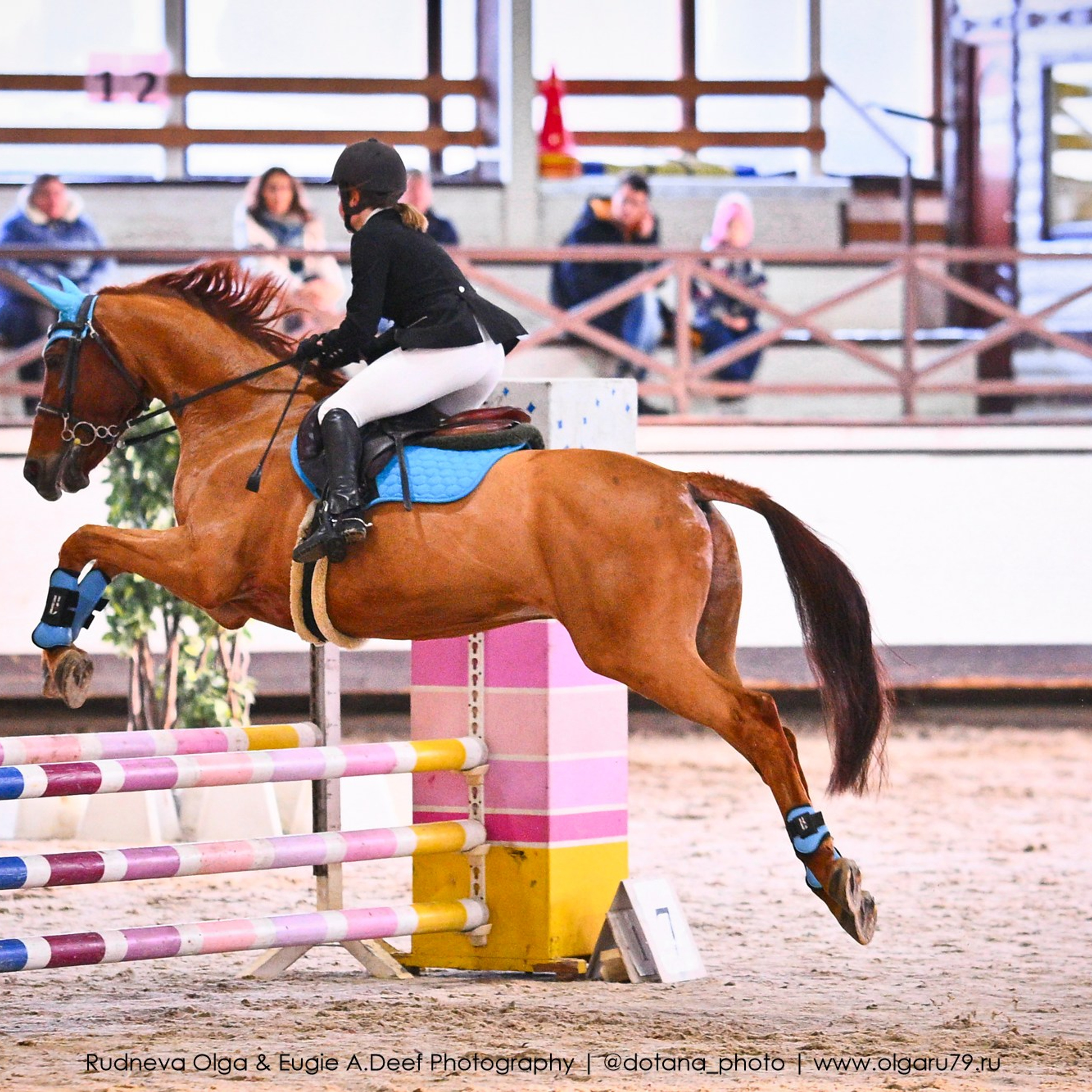 2025.12.06 — КСК Белая Дача — конкур. ТУРНИРНАЯ КОННАЯ ФОТОГРАФИЯ, Руднева Ольга и Евгений Адеев