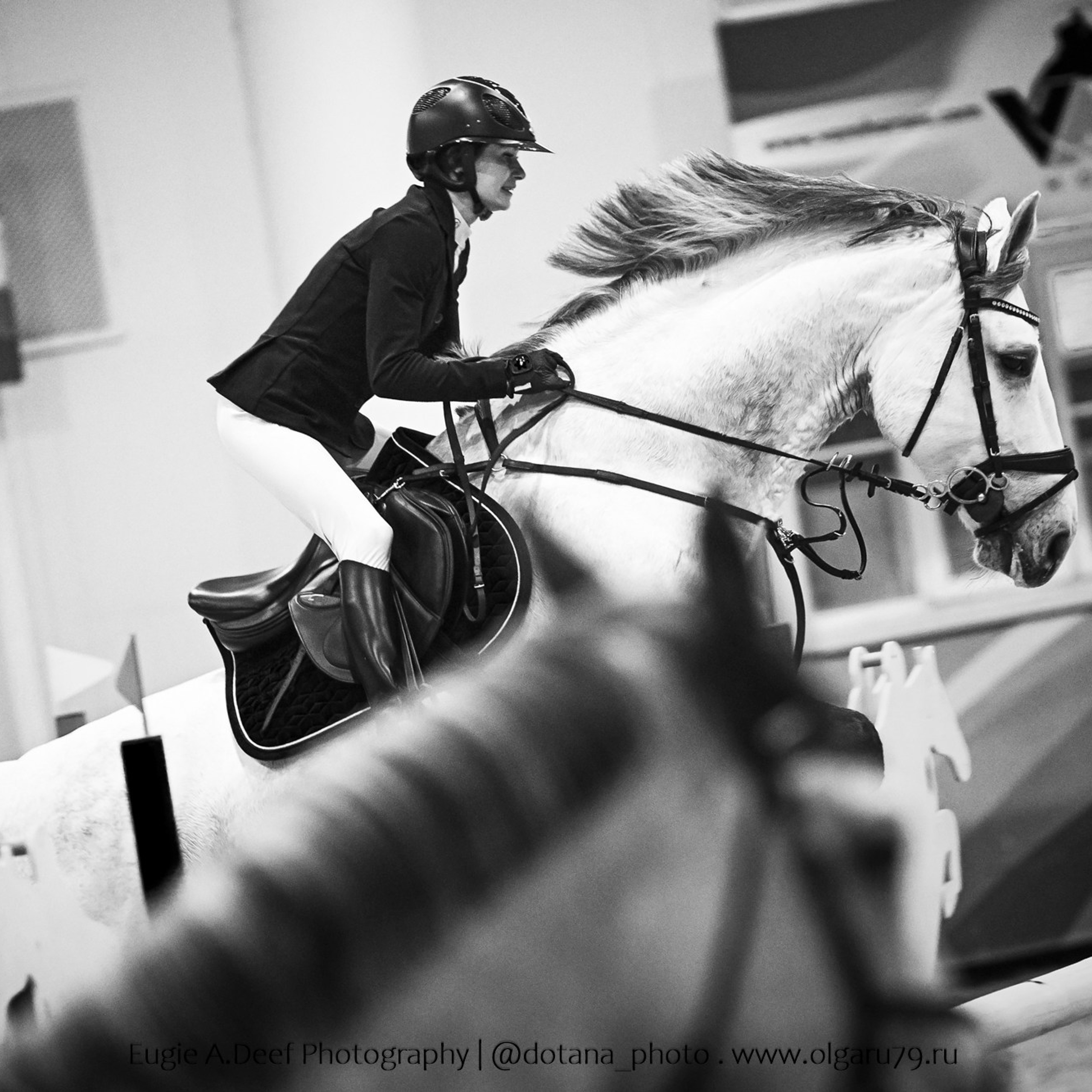 2025.12.05 — КСК ВИВАТ, Россия! — конкур, кубок ФКСМ. ТУРНИРНАЯ КОННАЯ ФОТОГРАФИЯ, Руднева Ольга и Евгений Адеев