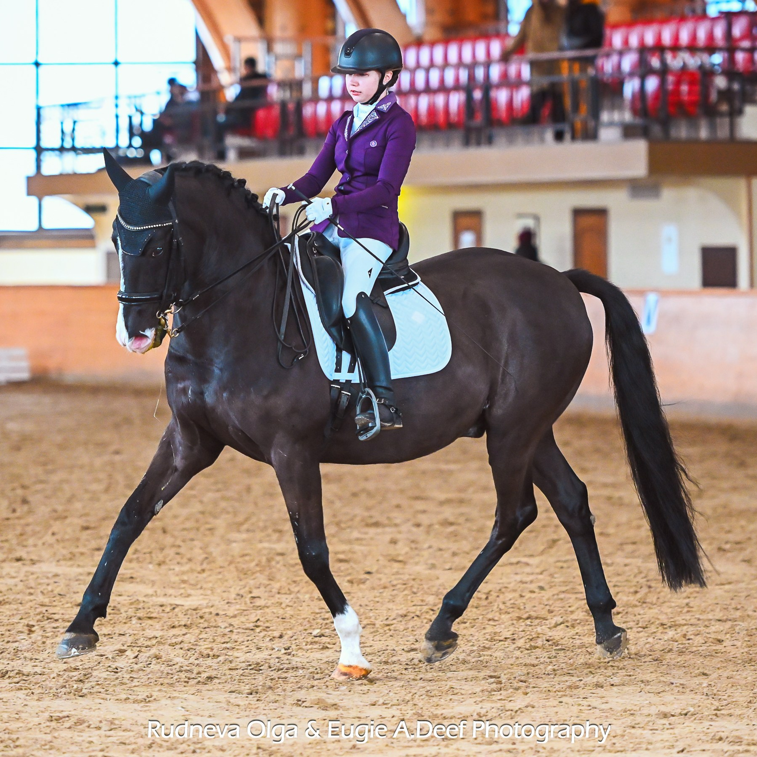 2025.02.15 КСК Пегас Кубок по выездке