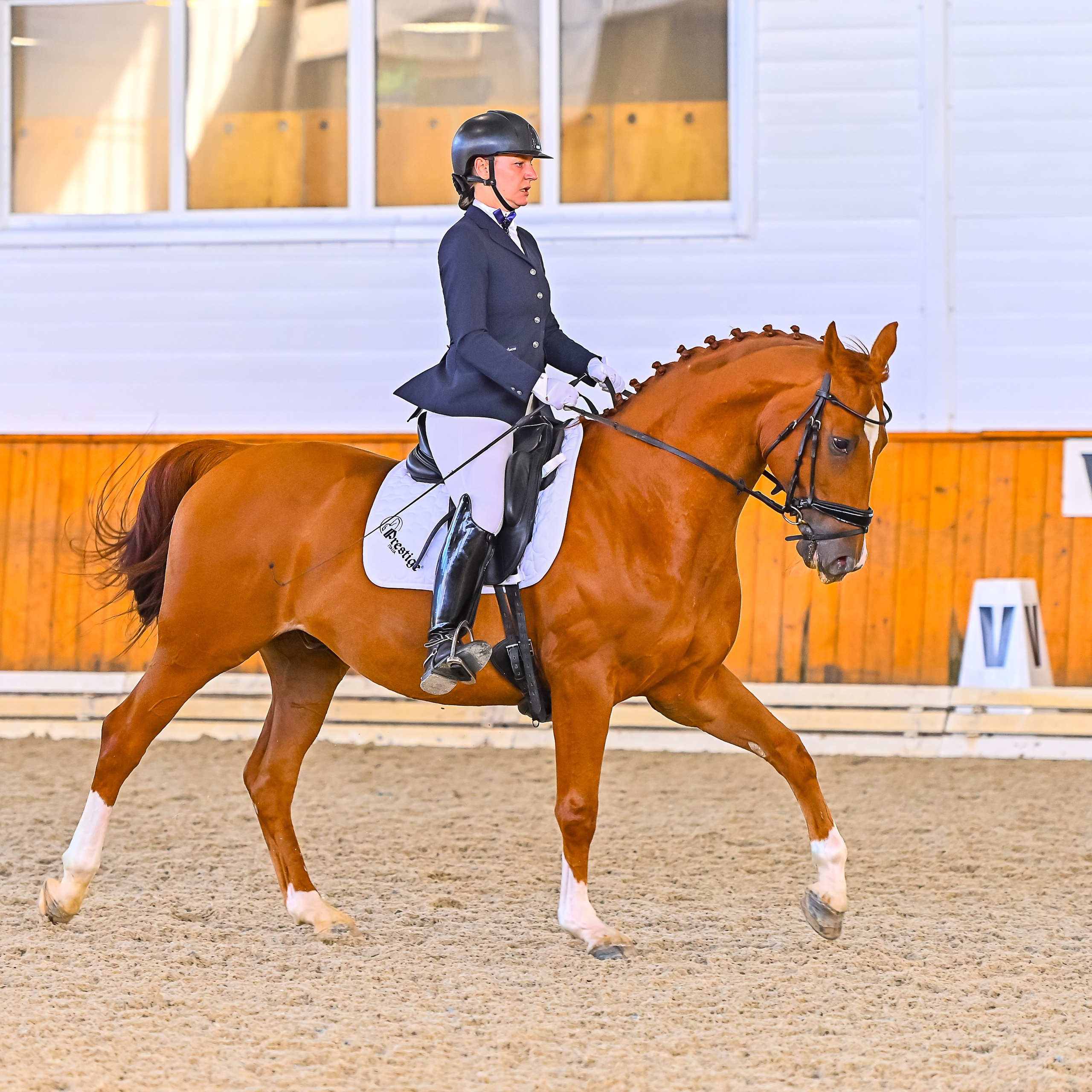 2024.10.20 — Золотая Осень в КСК Конкорд