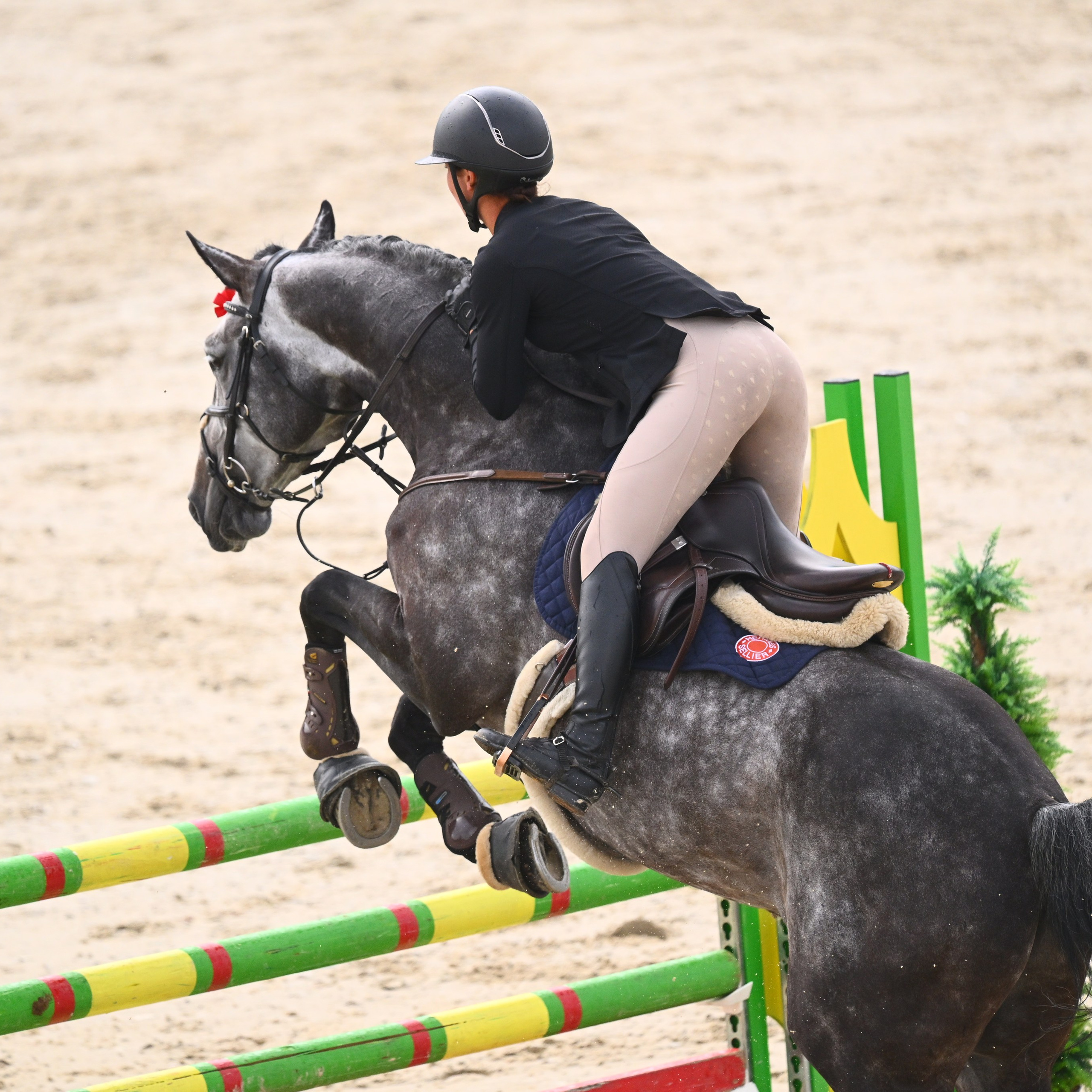 ТУРНИРНАЯ КОННАЯ ФОТОГРАФИЯ, Руднева Ольга и Евгений Адеев