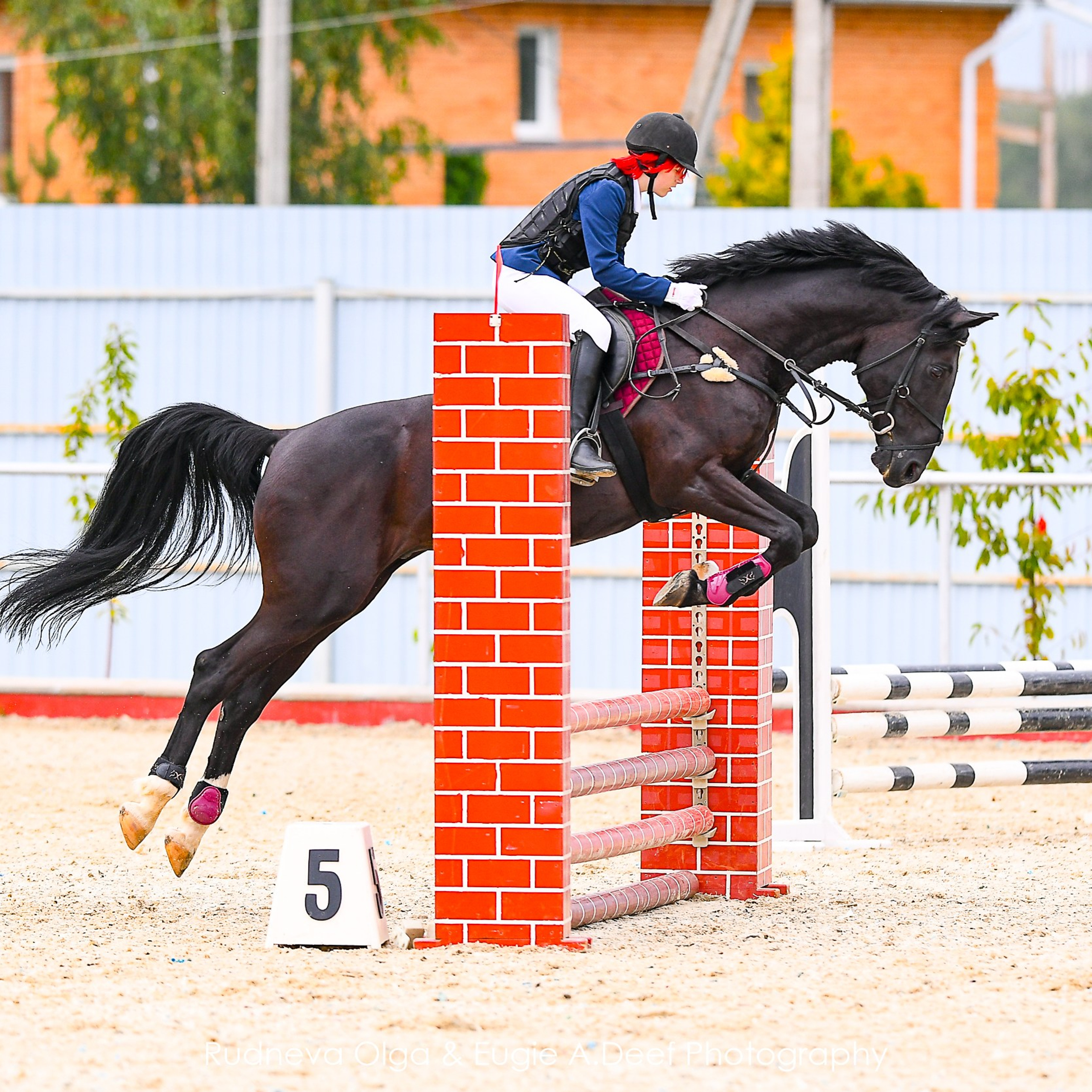2024.08.17 — Летний Кубок КСК Конкорд по конкуру