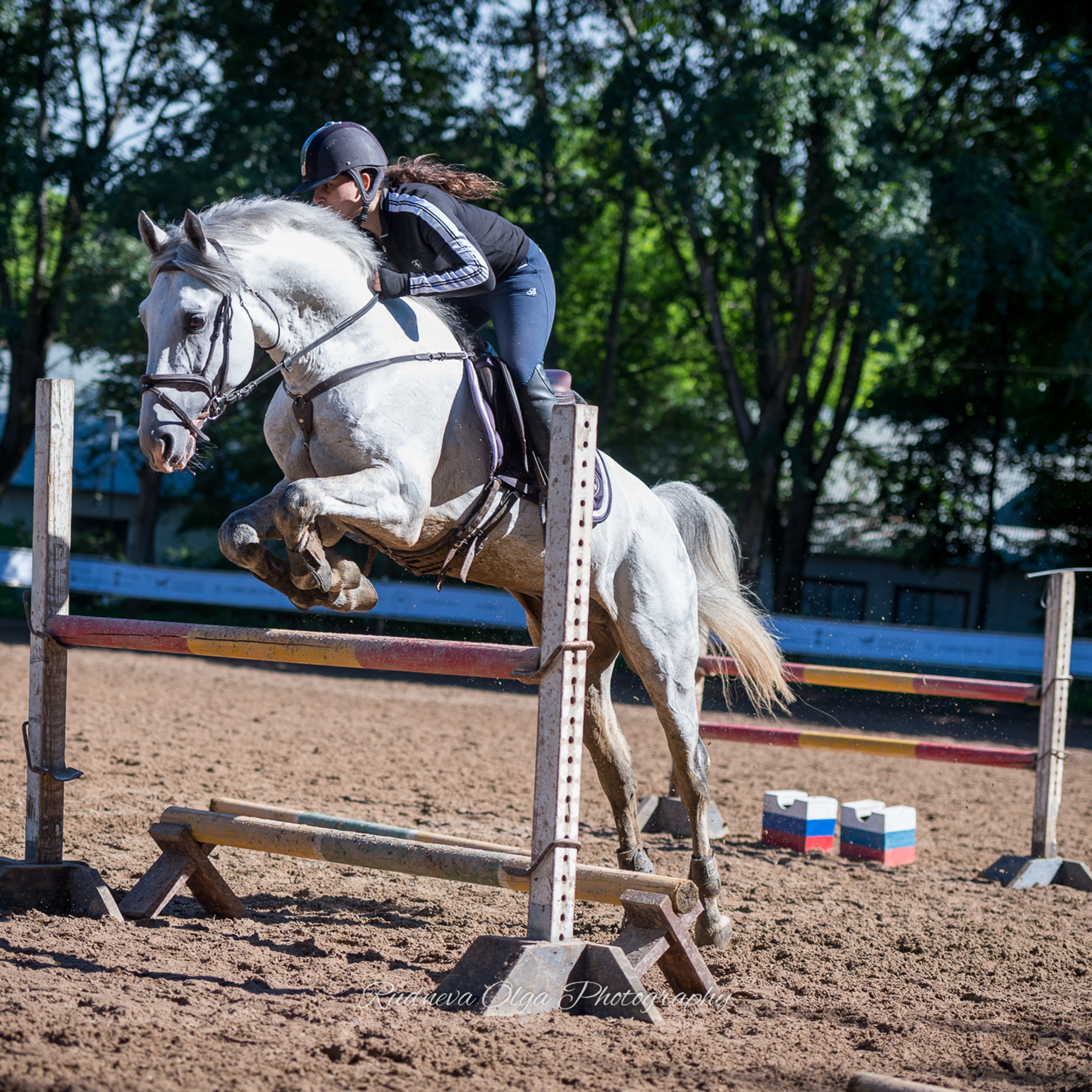 Тренировка в КСК Амадей
